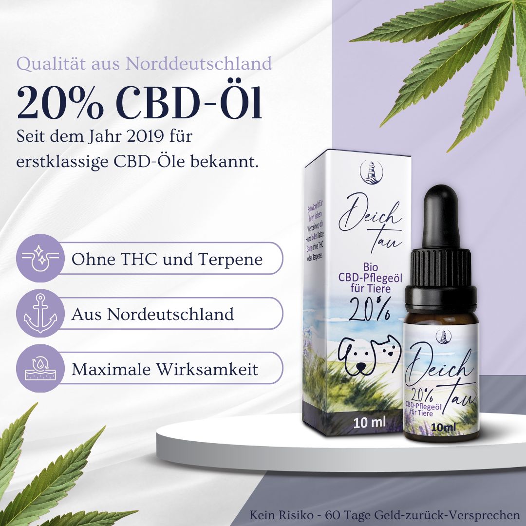 Deichtau 20% CBD-Öl aus Norddeutschland, ohne THC und Terpene, maximale Wirksamkeit.