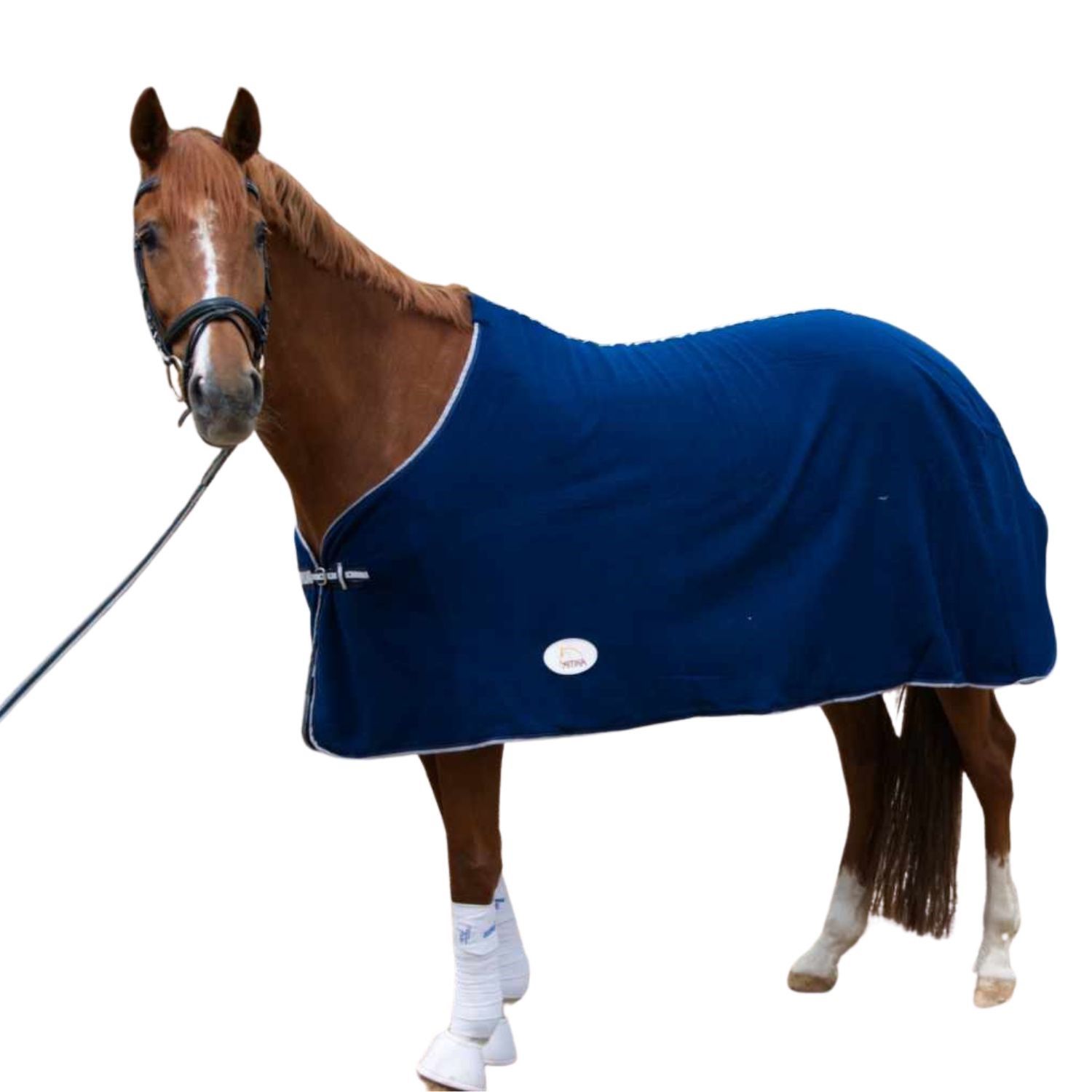 Pferd mit blauer AMKA Fleecedecke. Weißer Rand, silberner Verschluss. Steht vor weißem Hintergrund.