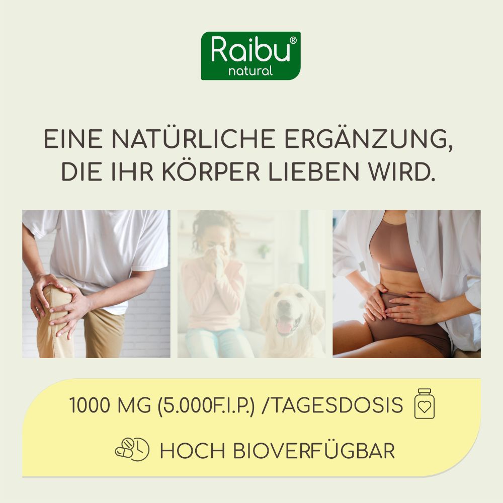 RAIBU Bromelain Kapseln Hochdosiert