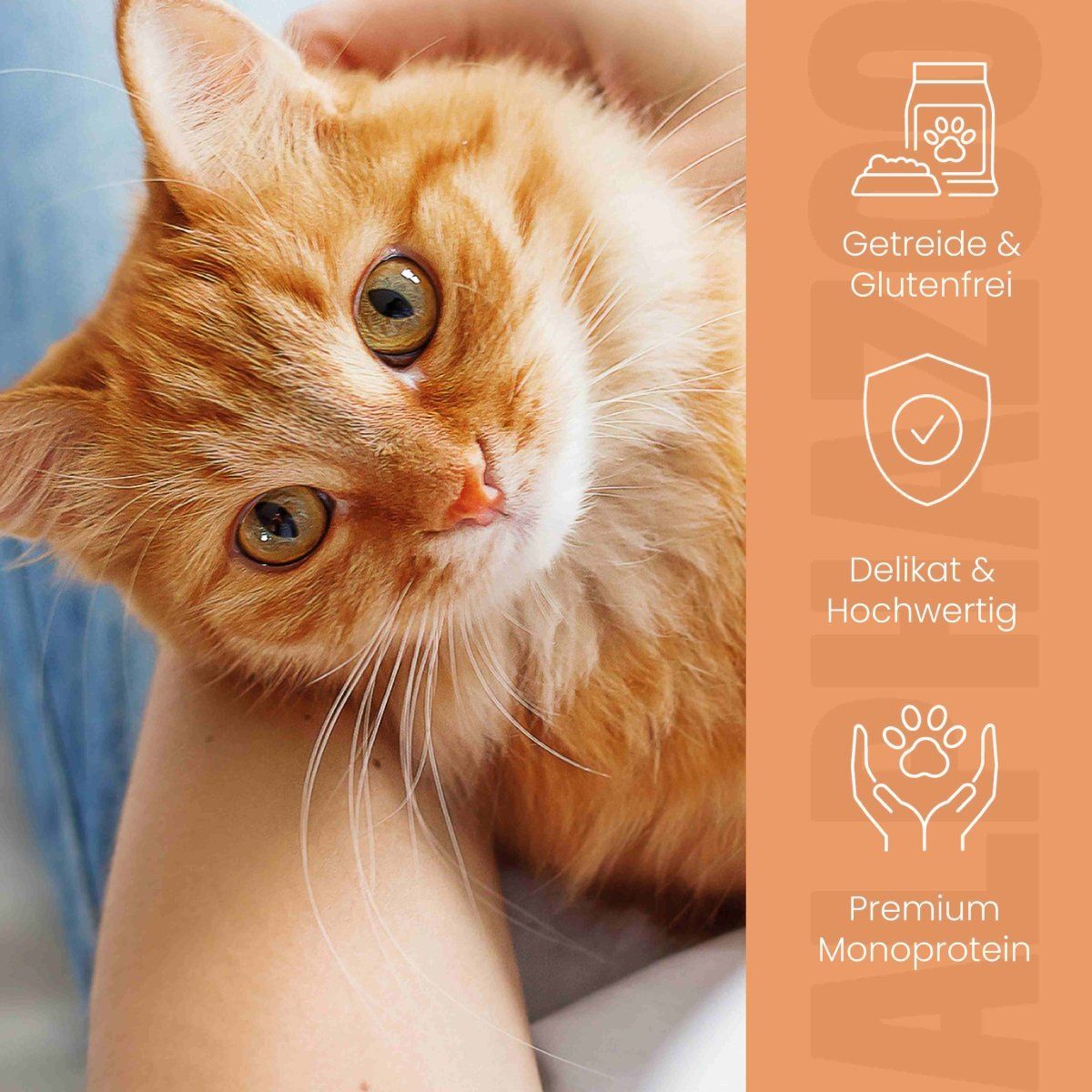 Katze wird gehalten. Icons: Getreide- & glutenfrei, Delikat & Hochwertig, Premium Monoprotein. Text: alphazoo.