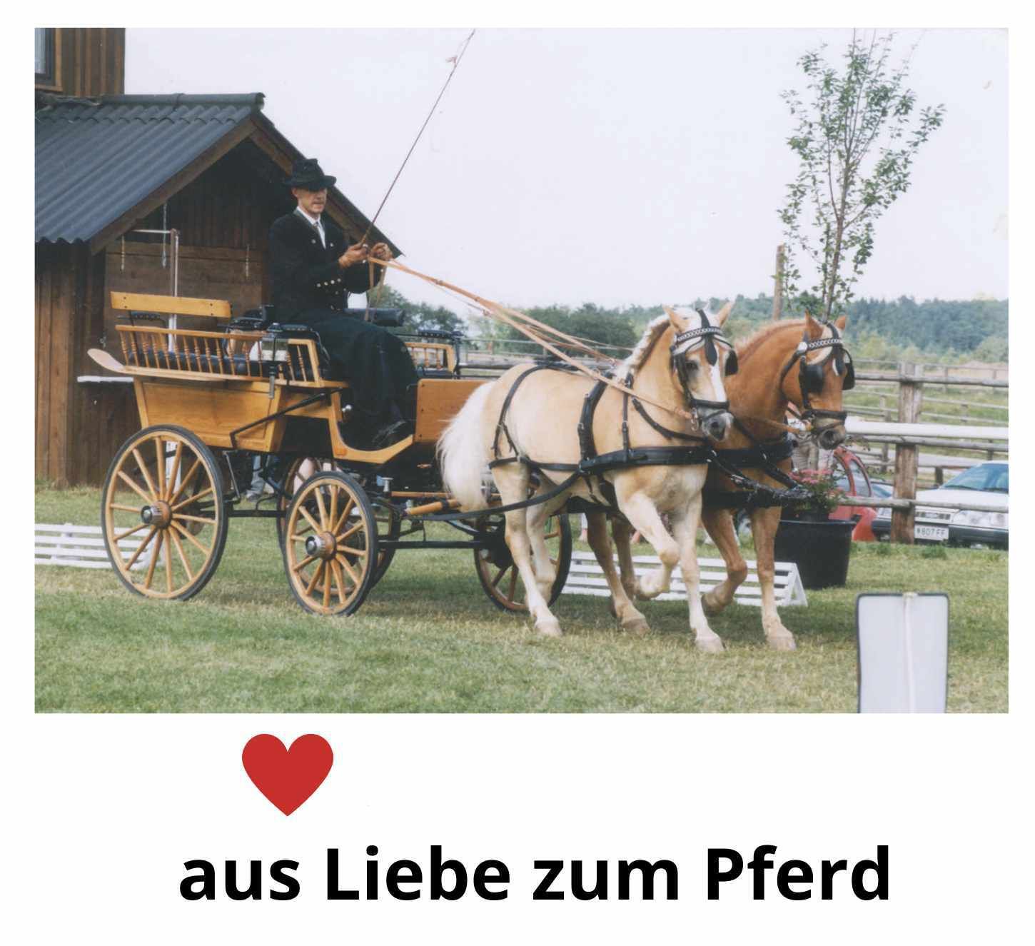 Pferdekutsche mit zwei Pferden. Fahrer im Wagen. Text: aus Liebe zum Pferd, Herz-Symbol.