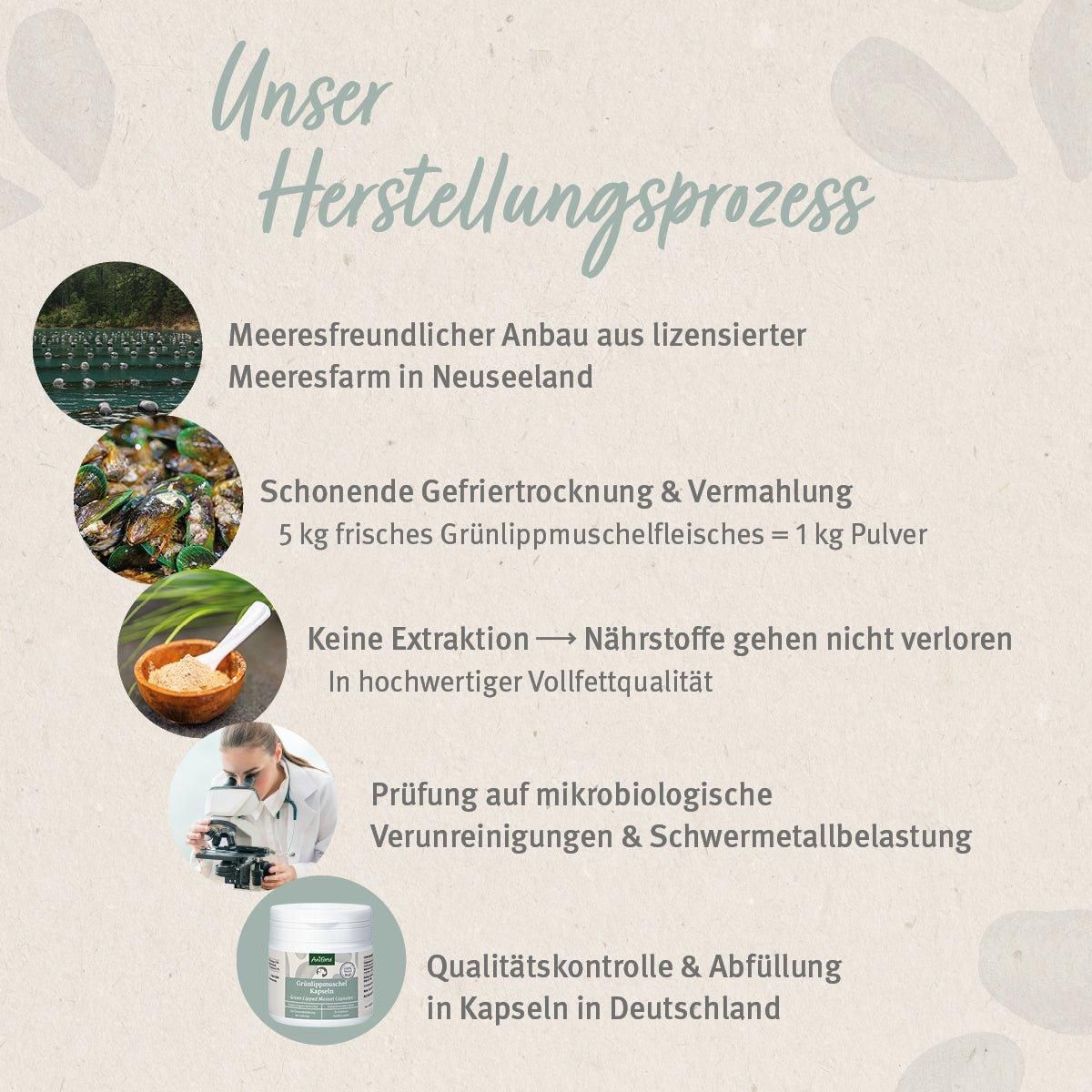 Grafik: Herstellungsprozess. Meeresschonender Anbau, schonende Gefriertrocknung, keine Extraktion, Prüfung auf mikrobiologische Verunreinigungen, Qualitätskontrolle.