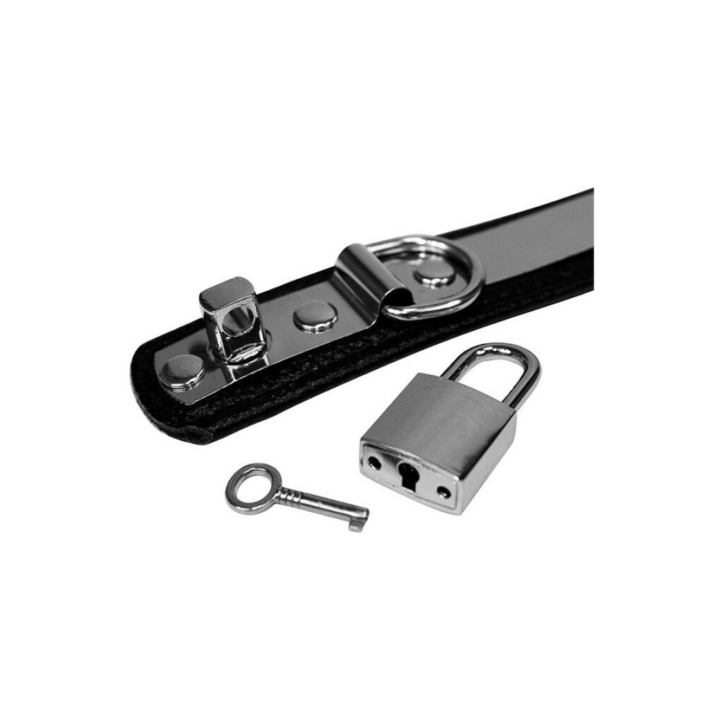 Detailansicht von Vorhängeschloss, Schlüssel und Halsbandteil aus Leder und Metall. Silberfarbenes Metall, schwarzes Leder.