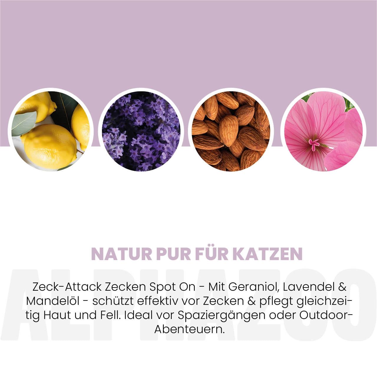 Kreisförmige Abbildungen von Zitrone, Lavendel, Mandeln und Blüte. Text: Natur pur für Katzen. Zeck-Attack Spot On.