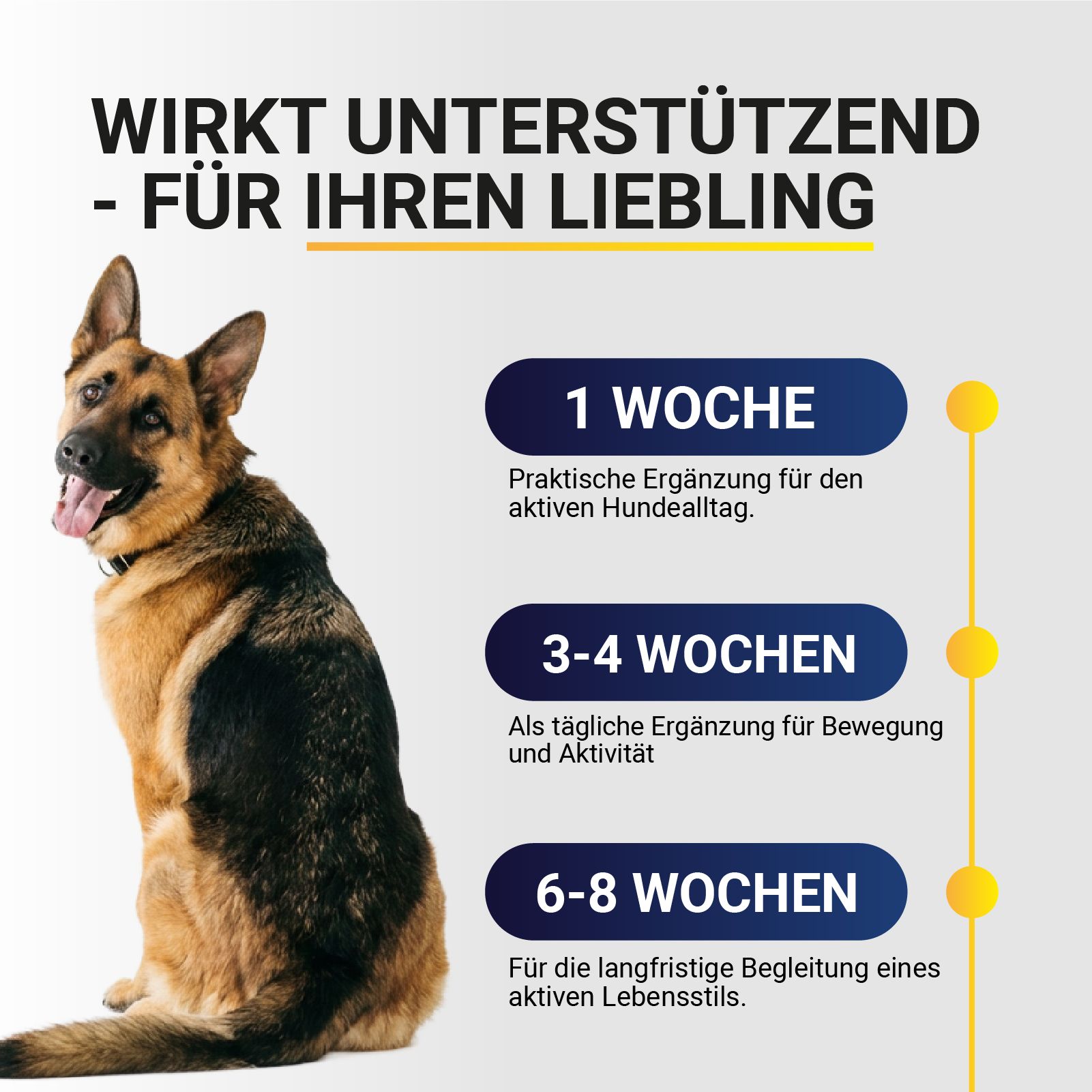 Deutscher Schäferhund sitzt, daneben Zeitangaben für die Anwendung von Ergänzungsmitteln.