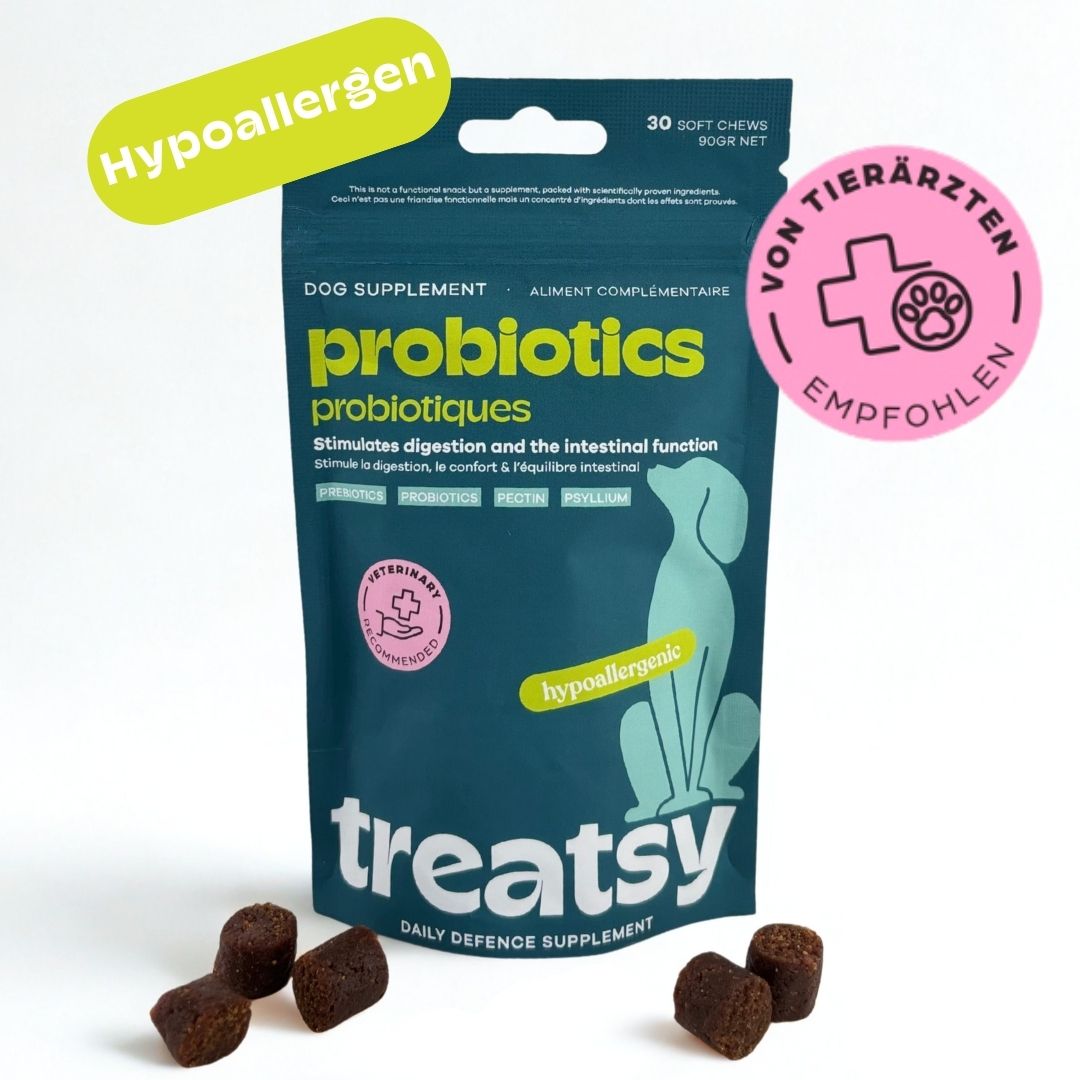 Beutel mit Probiotika-Ergänzungsmittel für Hunde. Enthält 30 weiche Kausnacks. Hypoallergen. Von Tierärzten empfohlen.