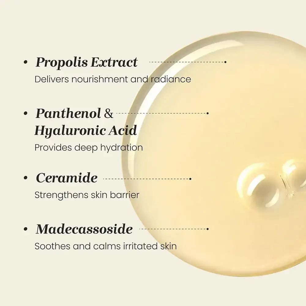 Nahaufnahme von CNP Laboratory Propolis Treatment Ampoule. Gelbe Flüssigkeit mit Text: Propolis Extract, Panthenol, Ceramide, Madecassoside.