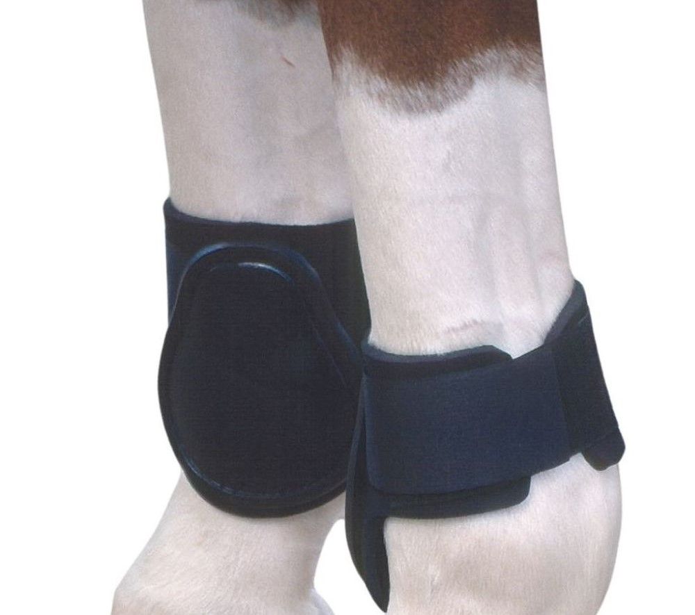 Schwarze AMKA Streichkappen Neopren an Pferdebeinen. Neopren-Material, mit Klettverschluss. Schützen das Bein.