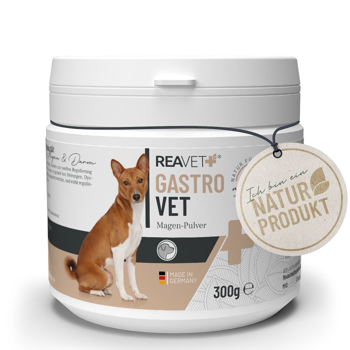 GastroVET - ReaVET