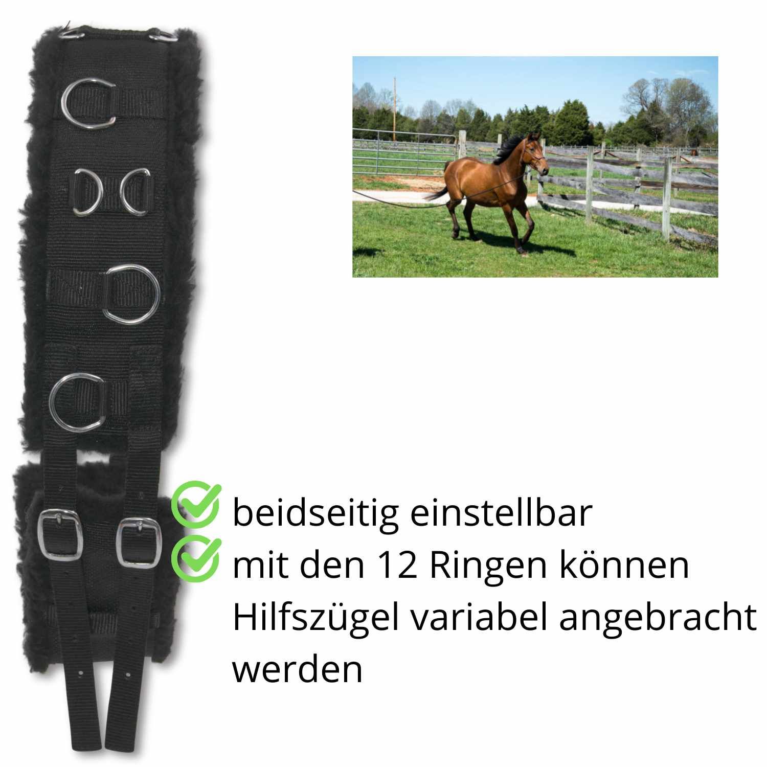 Schwarzer Longiergurt mit Text, Pferd auf Wiese. Text: beidseitig einstellbar, Hilfszügel variabel anbringbar.