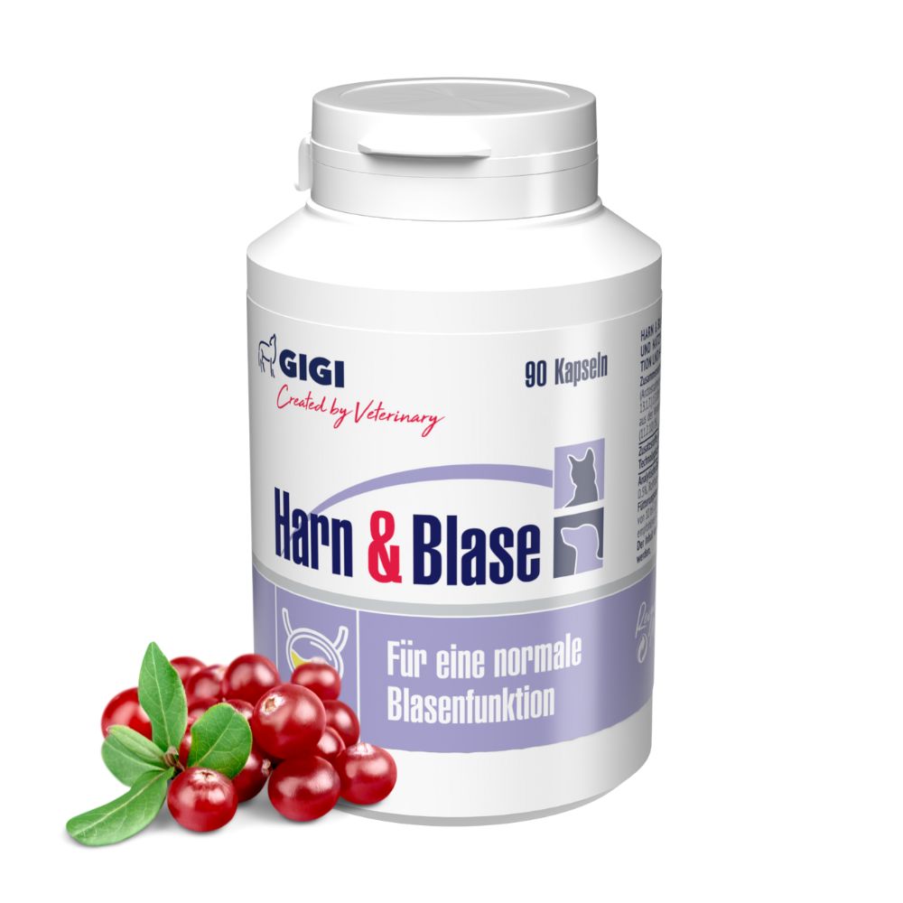Weiße Flasche mit Kapseln. Aufschrift: Harn & Blase. Cranberry-Früchte daneben.