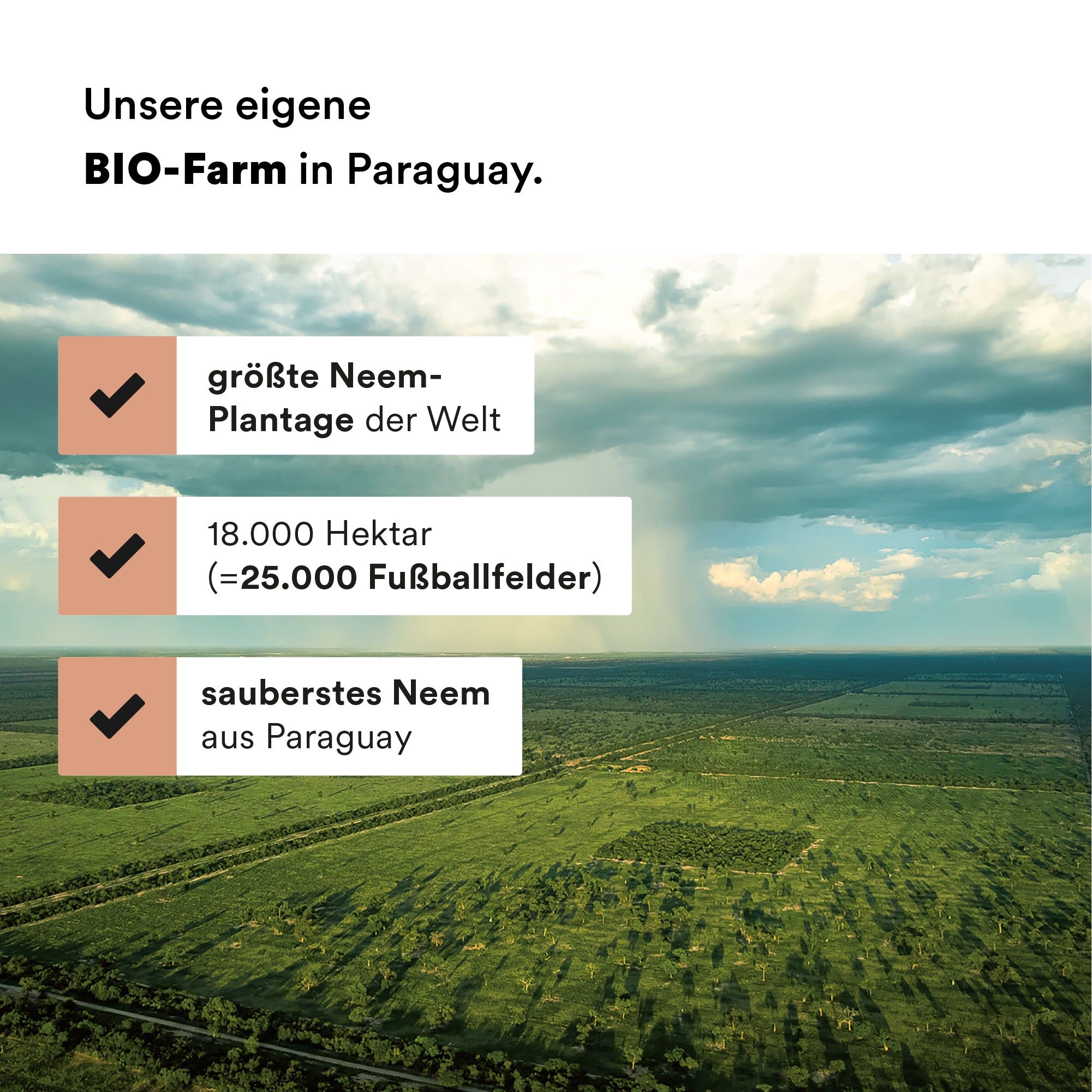 Luftaufnahme einer grünen Landschaft mit Text: größte Neem-Plantage der Welt, 18.000 Hektar, sauberstes Neem aus Paraguay.