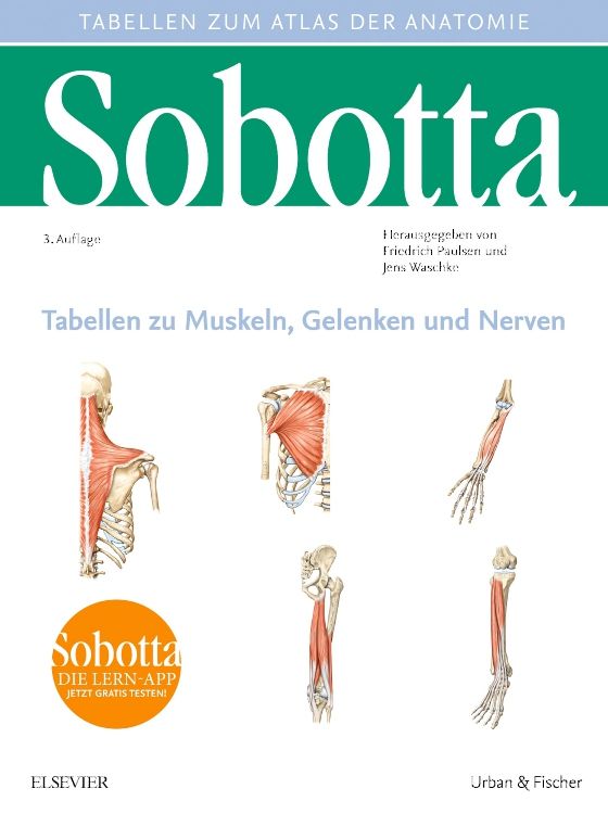 Sobotta Tabellen zu Muskeln, Gelenken und Nerven