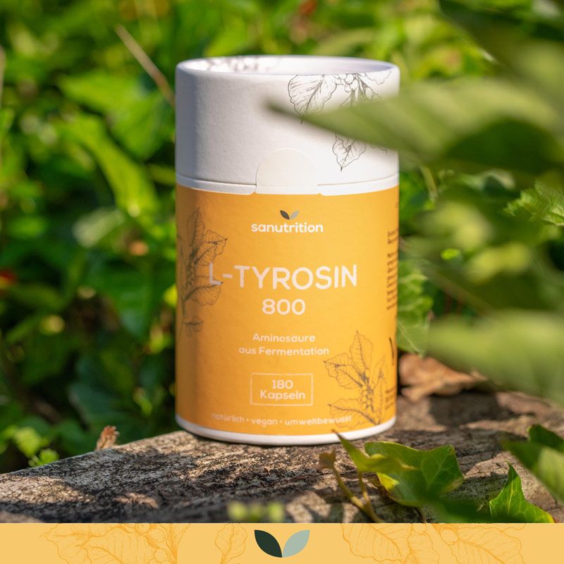 Zylindrische Dose Sanutrition L-Tyrosin 800. Gelbes Etikett, Produktname, 180 Kapseln. Auf Stein, umgeben von Blättern.