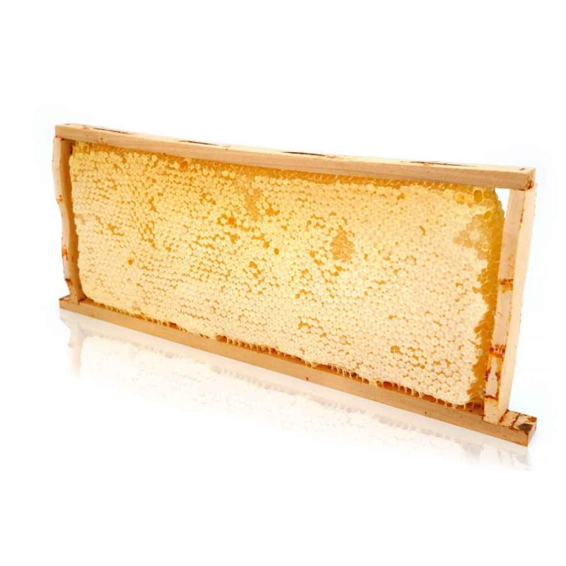 Holzrahmen mit Honigwabe. Die Wabe ist hellgelb und hat eine sechseckige Struktur. Der Rahmen ist aus hellem Holz.