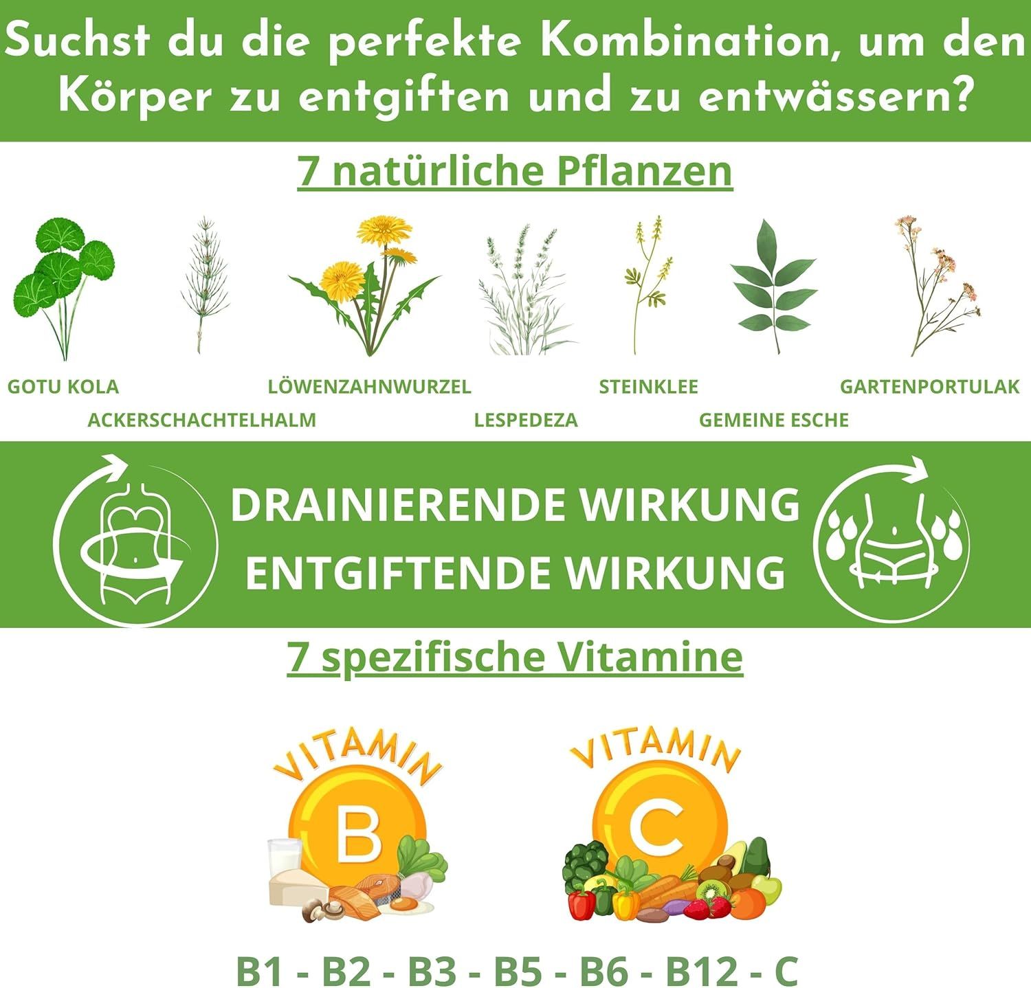 Grafik mit 7 Pflanzen und 7 Vitaminen. Text: Drainierende Wirkung, entgiftende Wirkung. Vitamin B und C. Produktname nicht sichtbar.