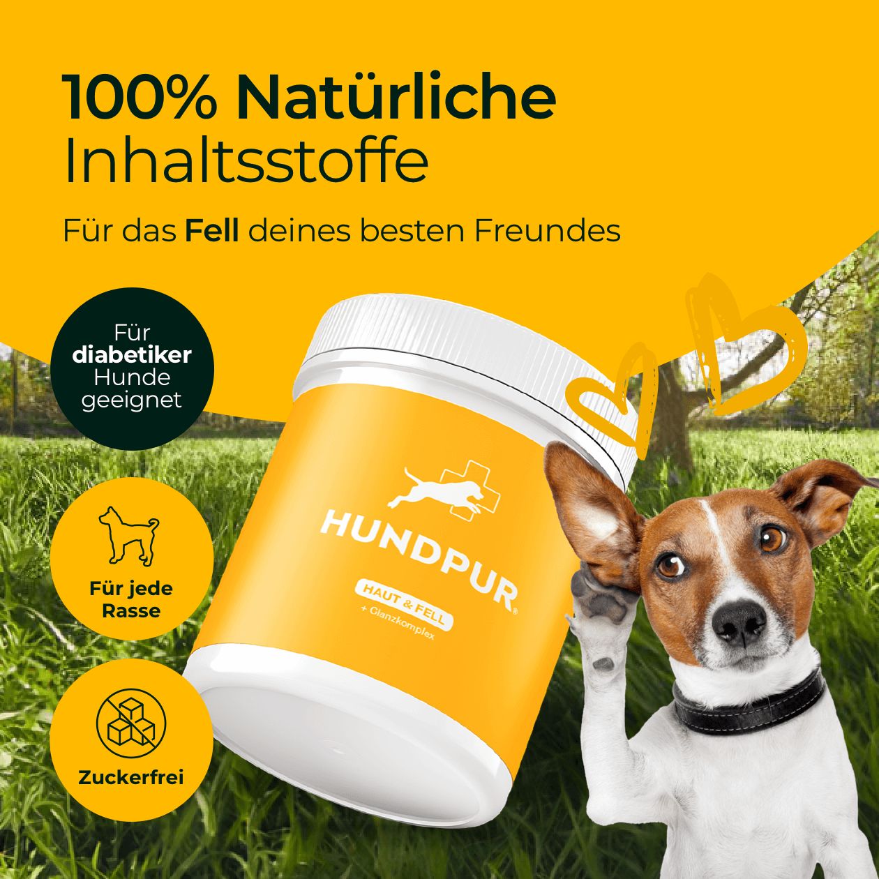 HUNDPUR® Haut & Fell-Produkt mit Hund, gelbem Hintergrund. Text: 100% natürliche Inhaltsstoffe, Für jede Rasse, Zuckerfrei, Für Diabetiker Hunde geeignet.