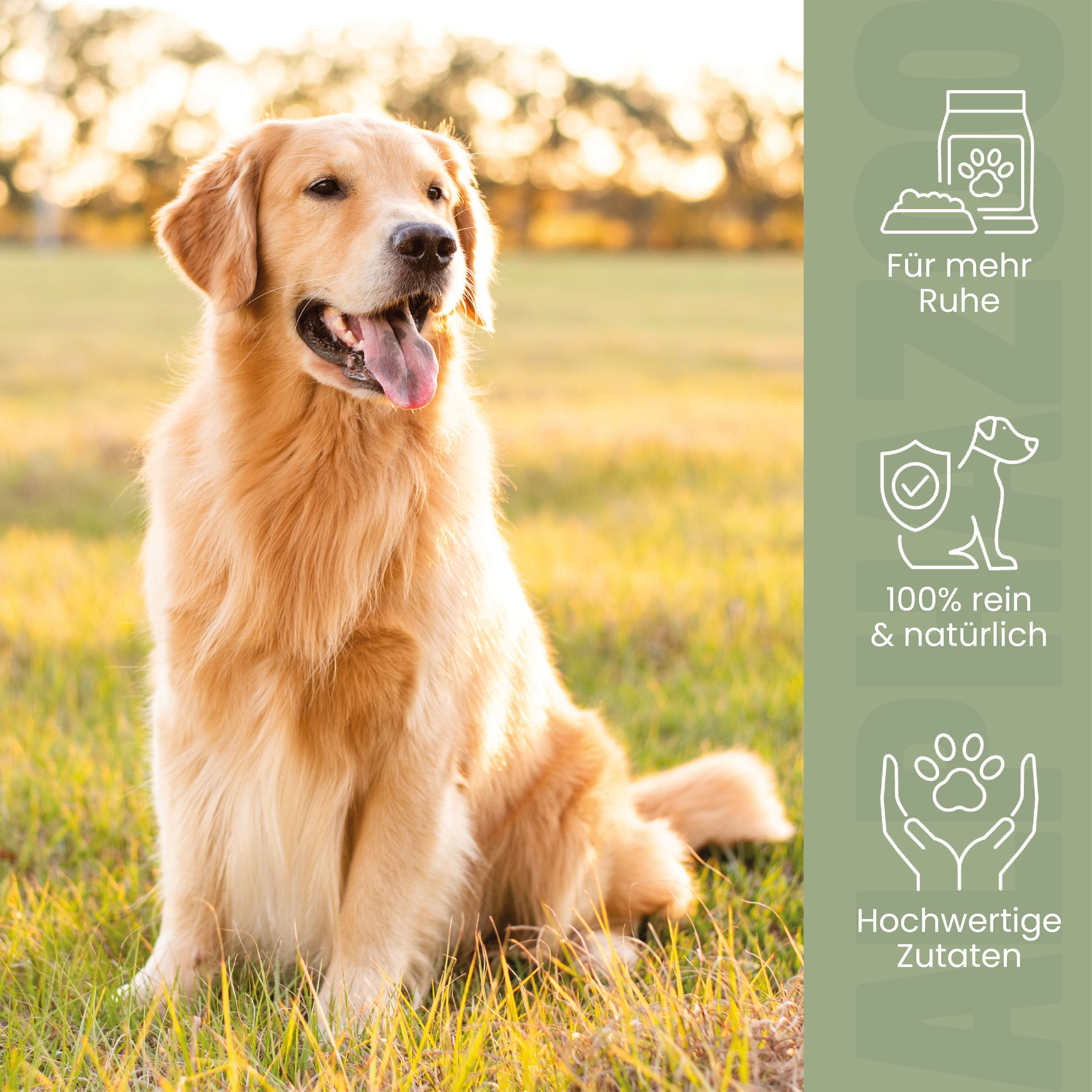 Goldener Retriever im Gras. Text: Für mehr Ruhe, 100% rein & natürlich, Hochwertige Zutaten. Grüner Hintergrund mit Pfoten-Symbolen.