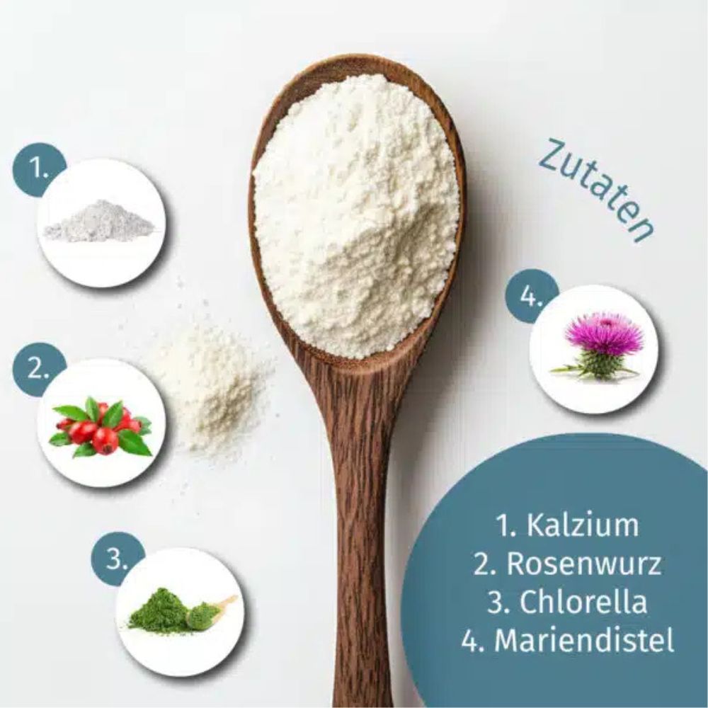 Holzlöffel mit Zutaten. 1. Kalzium. 2. Rosenwurz. 3. Chlorella. 4. Mariendistel. Text: Zutaten. Kreise mit Inhaltsstoffen.