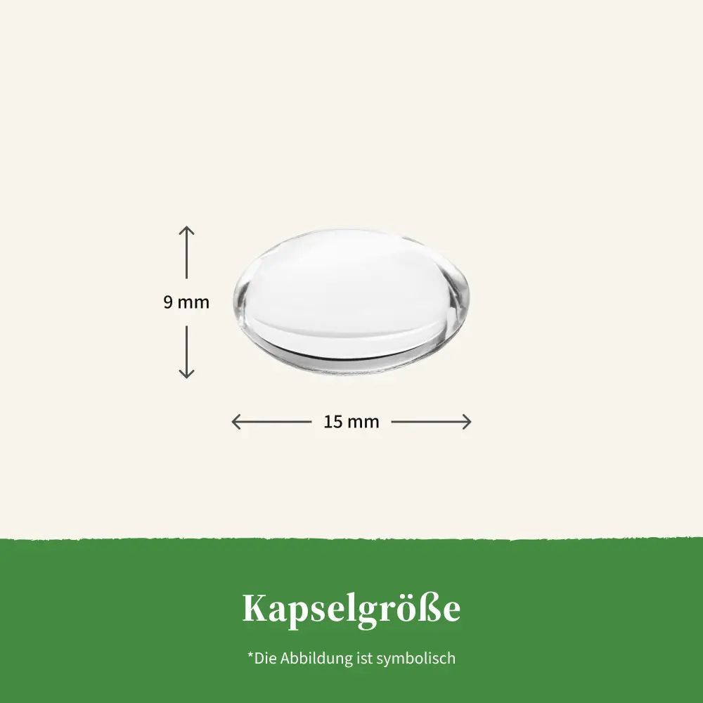 Kapsel, transparent, oval. Abmessungen: 15 mm x 9 mm. Text: Kapselgröße. Abbildung ist symbolisch.