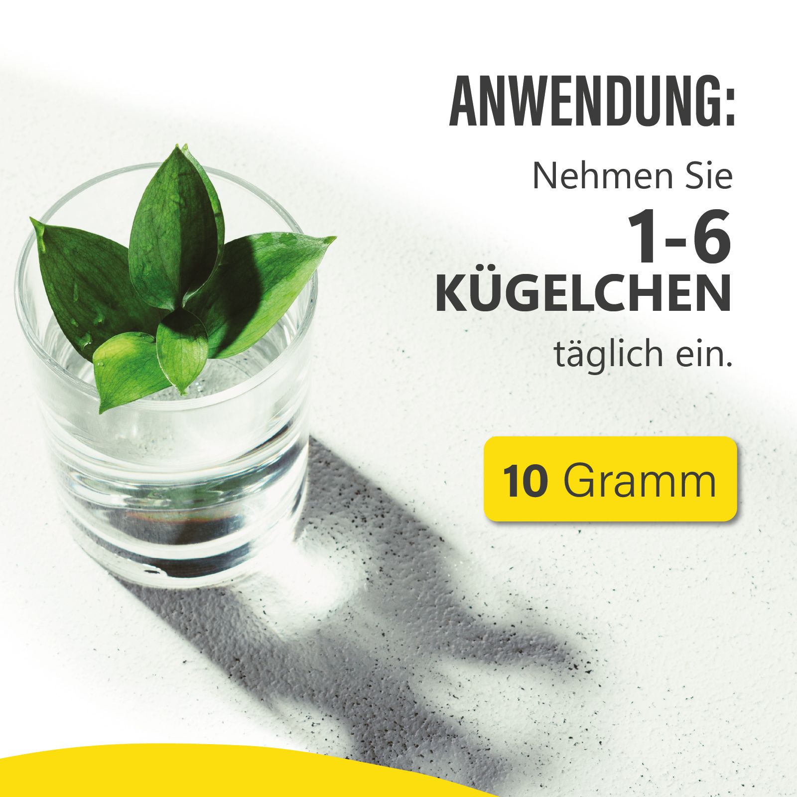 Glas mit Wasser und grünen Blättern. Gelber Hintergrund mit Text: "1-6 Kügelchen täglich einnehmen" und "10 Gramm".