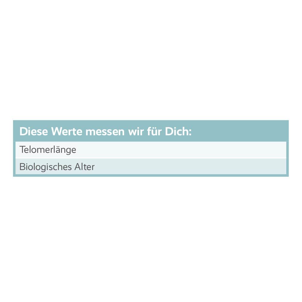 Textfeld mit den Werten, die gemessen werden: Telomerlänge und biologisches Alter.