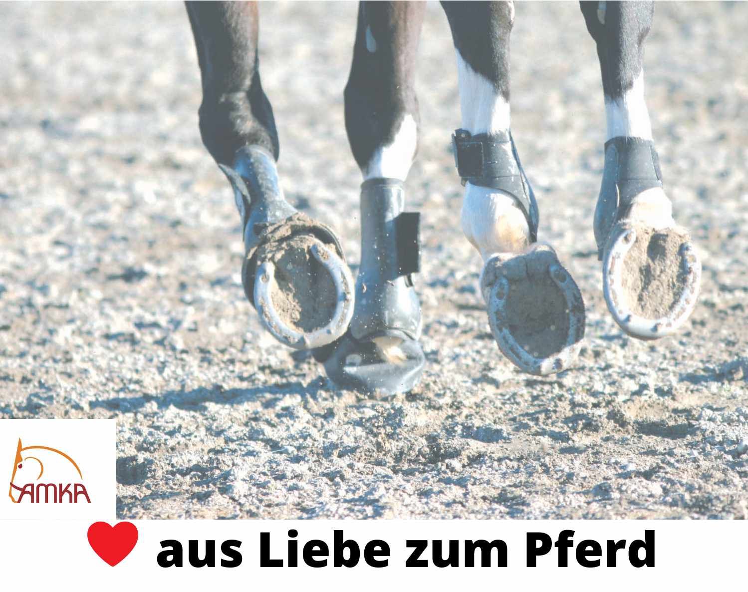 Pferdebeine mit schwarzen AMKA Sehnenschonern. Pferdehufe auf sandigem Untergrund. AMKA Logo und Text.