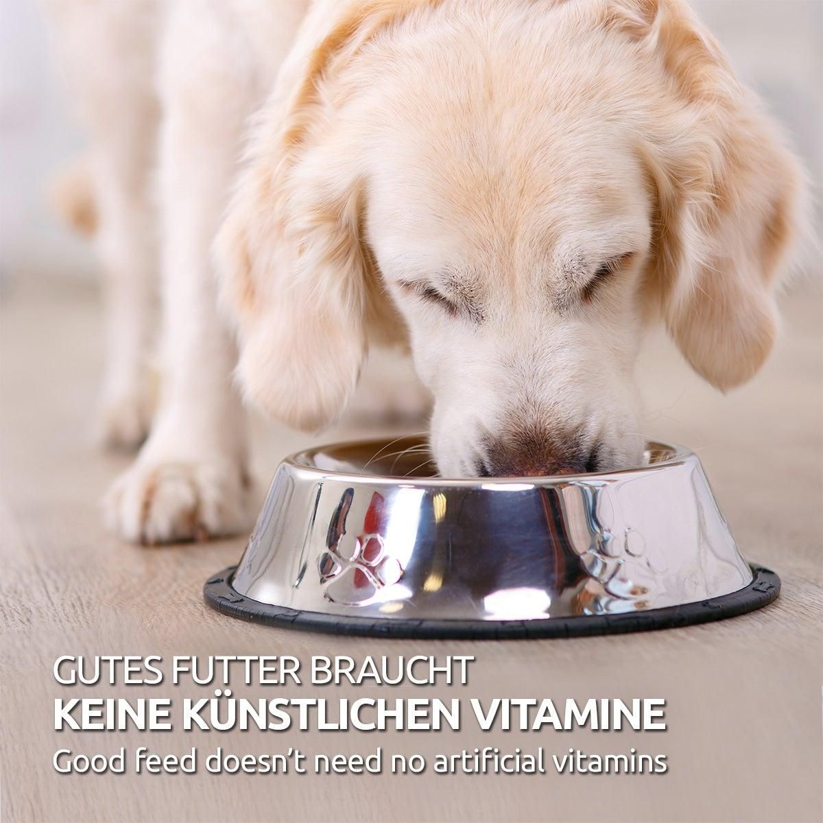 Hund frisst aus Edelstahlnapf. Text: Gutes Futter braucht keine künstlichen Vitamine.