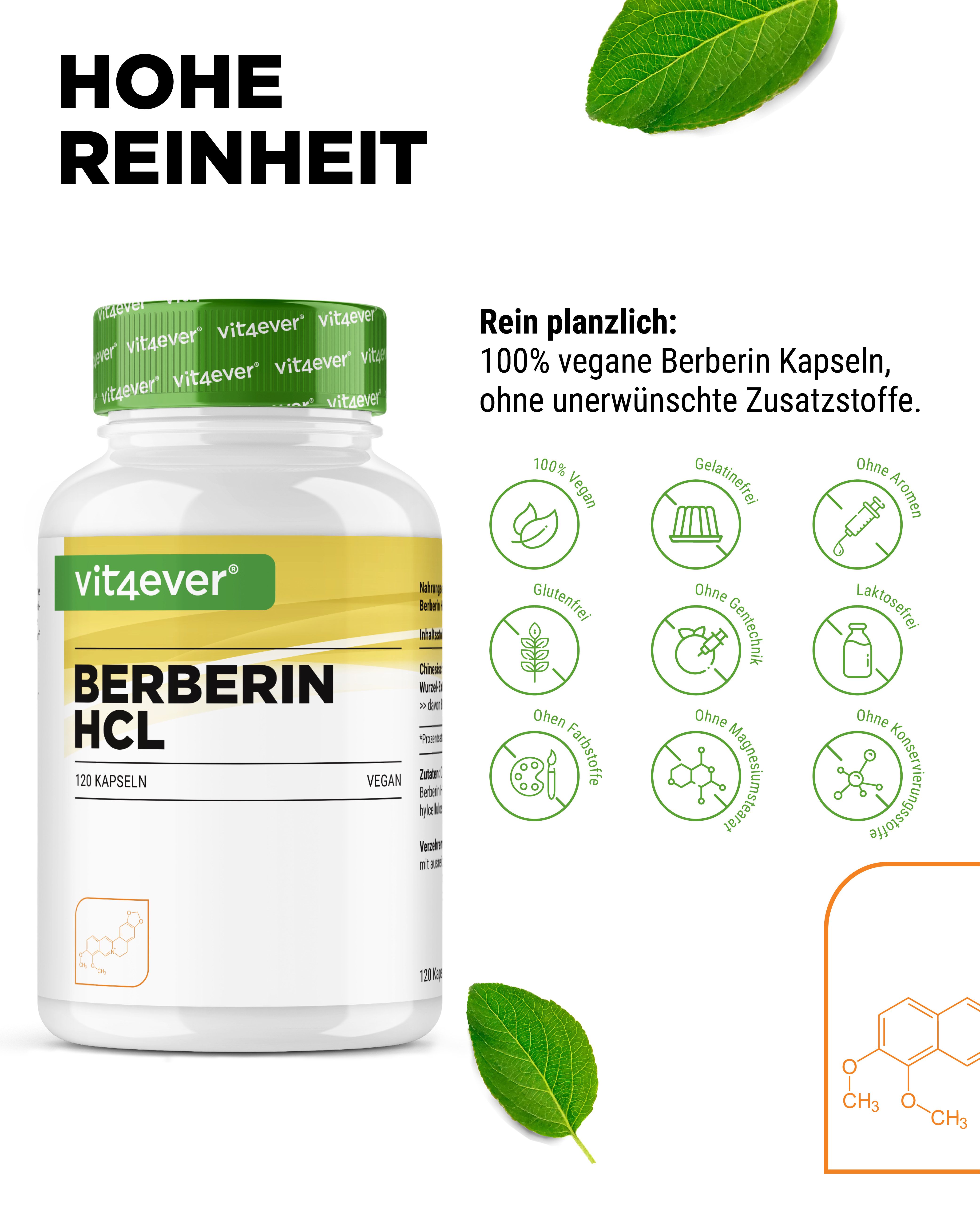 Produktflasche mit Aufschrift: vit4ever Berberin HCL, 120 Kapseln. Text: 100% vegane Berberin Kapseln, ohne unerwünschte Zusatzstoffe.