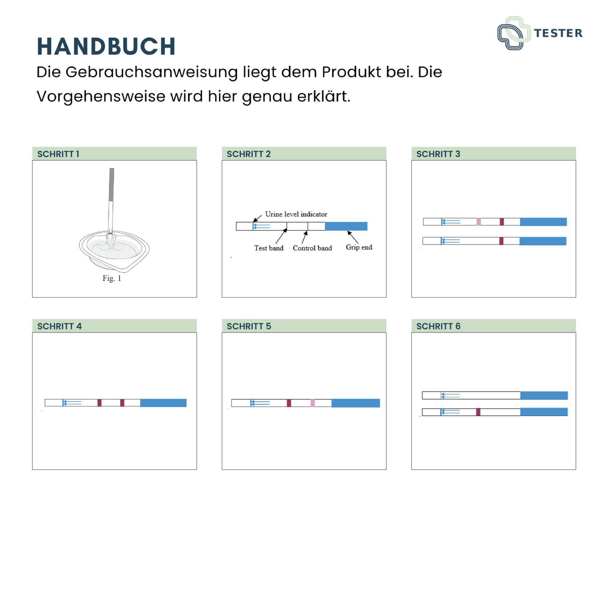 Handbuch für Nierenfunktion-Selbsttest mit 6 Schritten zur Urinanalyse.