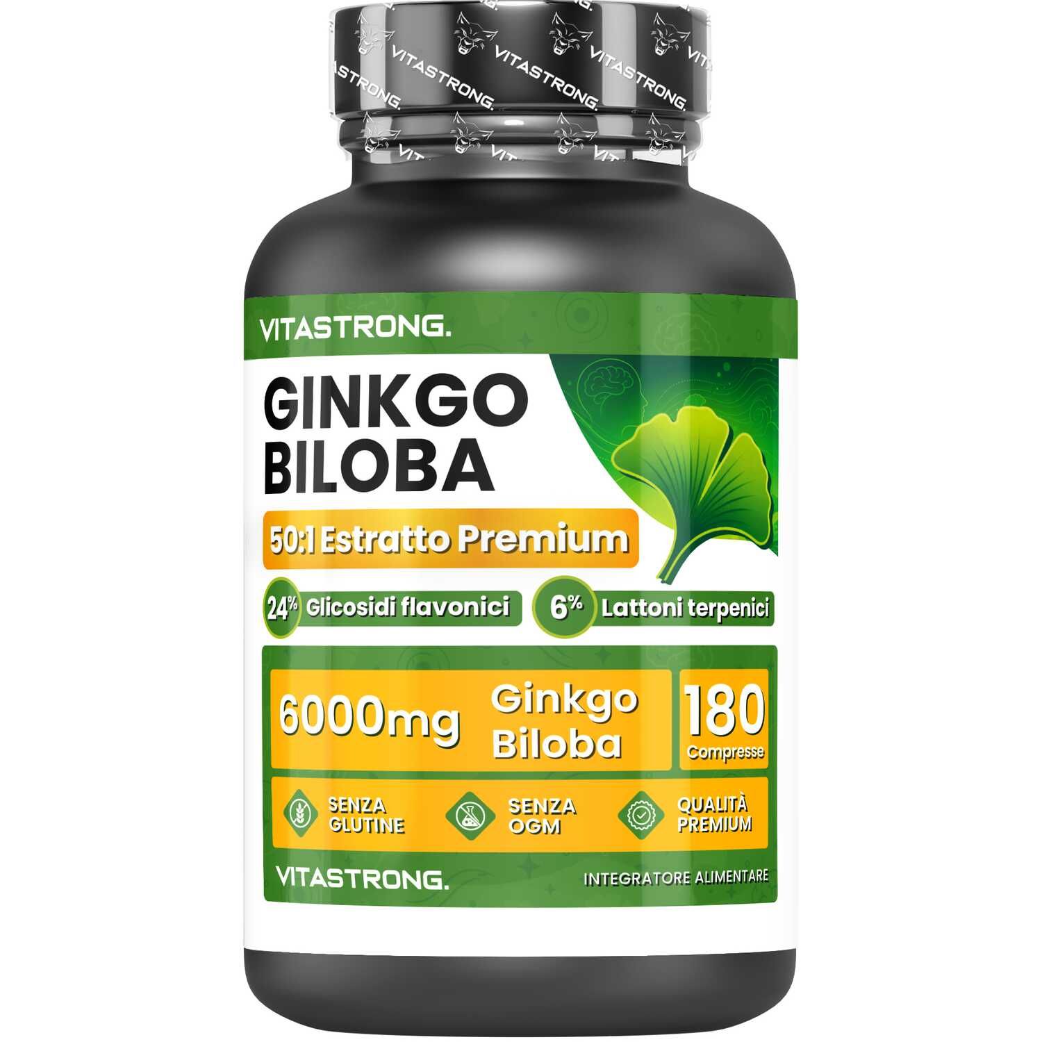 Ginkgo Biloba 6000 mg – Konzentriertes Extrakt für Gedächtnis & Durchblutung