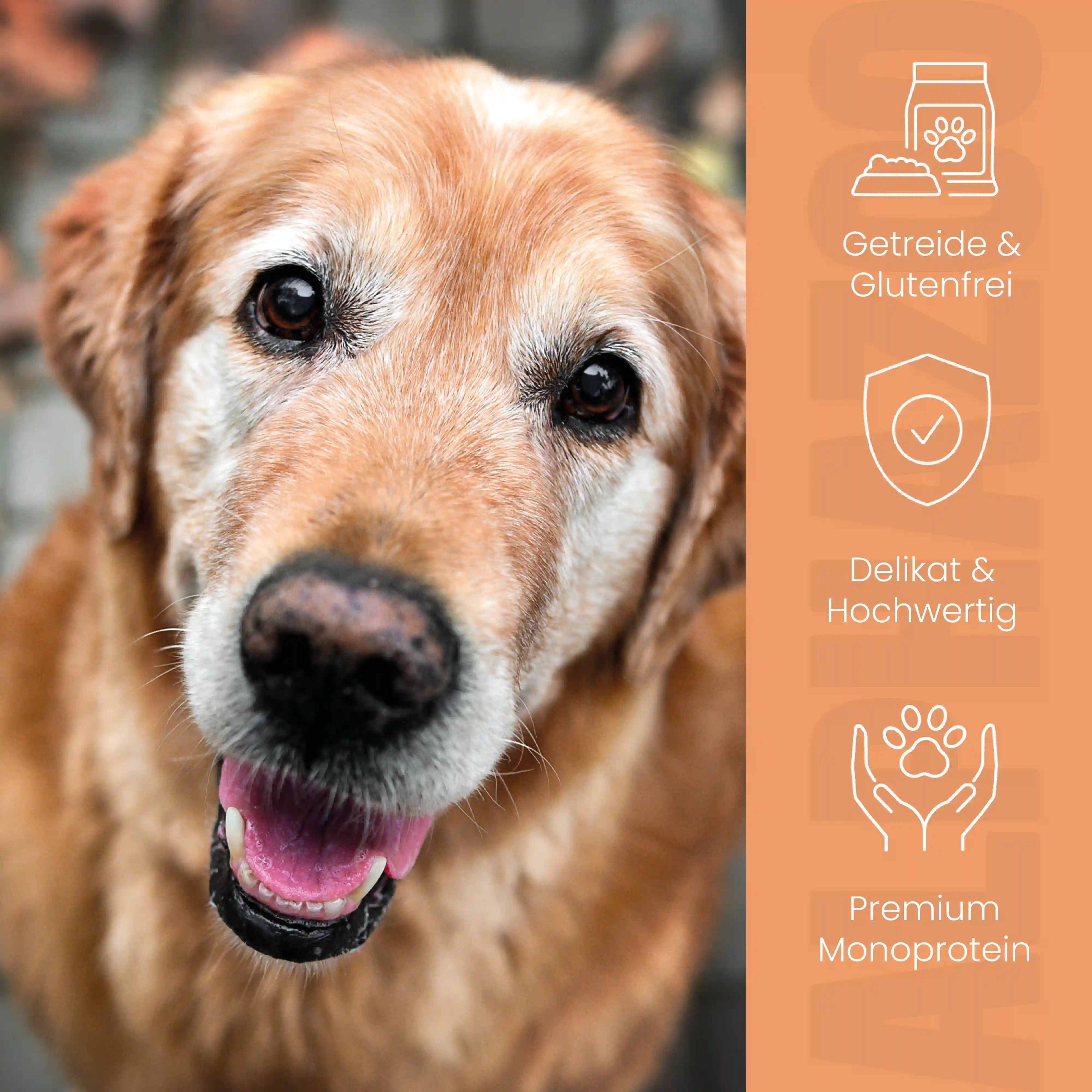 Golden Retriever vor orangefarbenem Hintergrund. Text: Getreide & Glutenfrei, Delikat & Hochwertig, Premium Monoprotein.