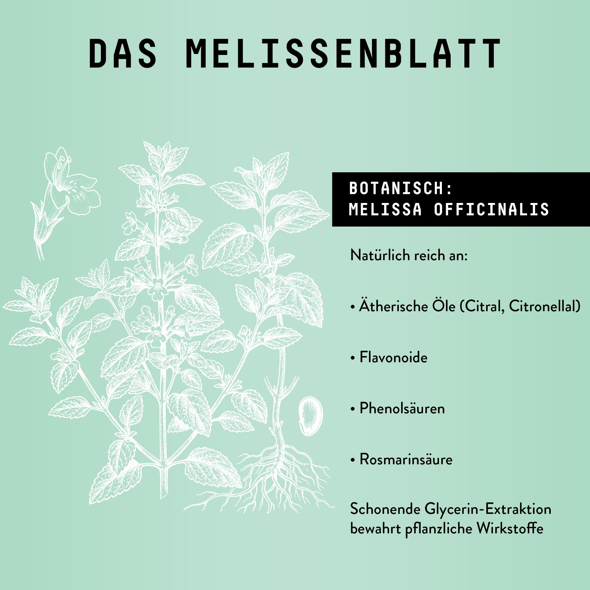 Marishanti Melissen Extrakt – alkoholfrei