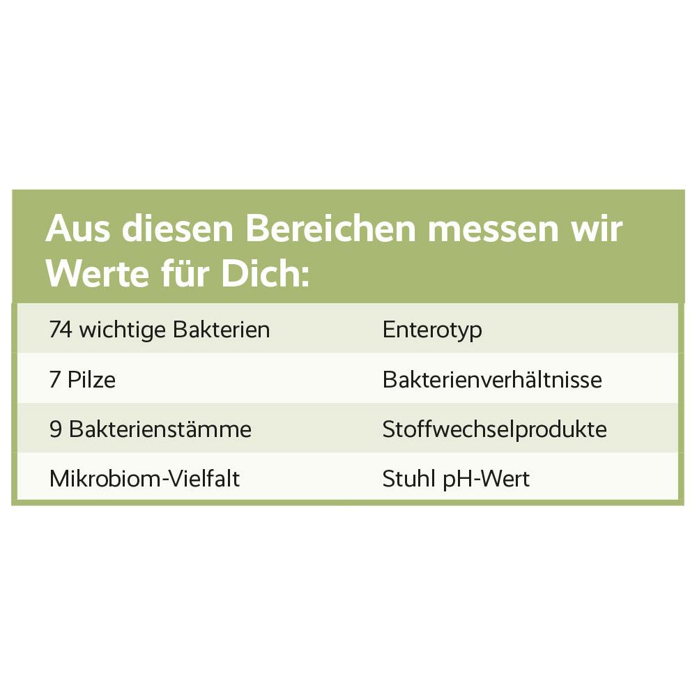 Tabelle mit Messwerten für die Mikrobiom-Analyse: Bakterien, Pilze, Bakterienstämme, Mikrobiom-Vielfalt, Enterotyp, Bakterienverhältnisse, Stoffwechselprodukte, Stuhl pH-Wert.