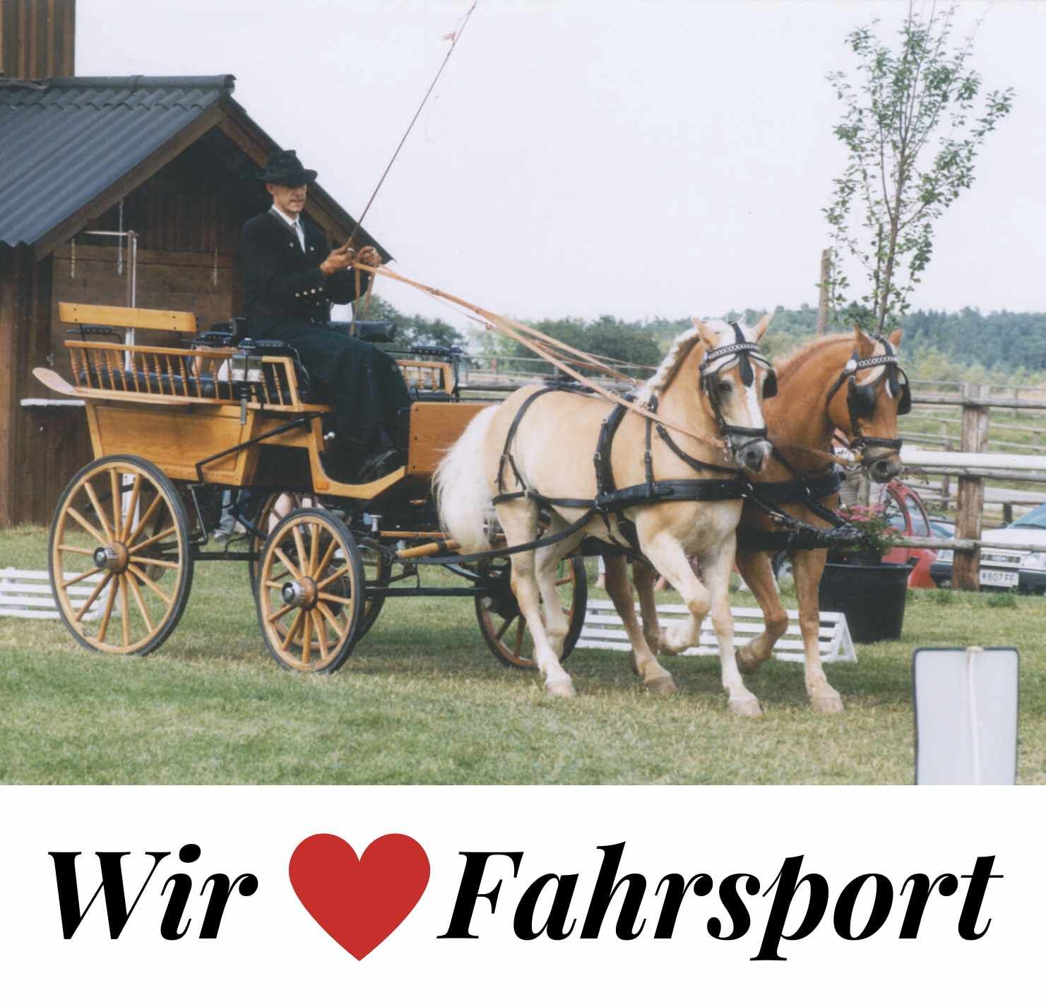 Kutsche mit zwei Pferden auf einer Wiese. Fahrer hält Zügel. Text: Wir ❤️ Fahrsport.