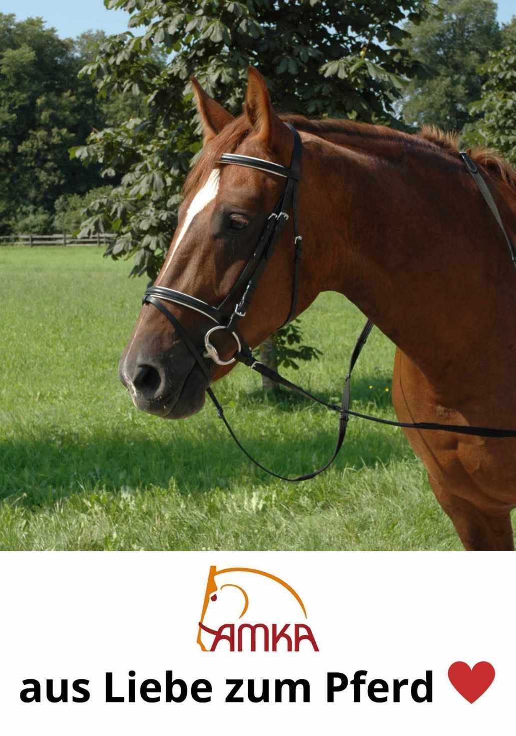 Pferd mit Trense. AMKA Logo unten. Text: aus Liebe zum Pferd.