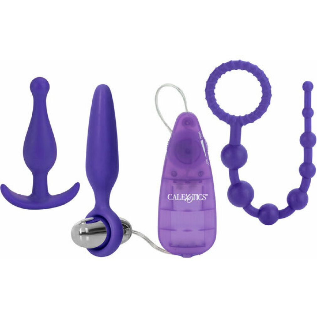 Lila Analplug mit breiter Basis, lila Kegel mit Metallkugel, lila Vibrator mit transparentem Gehäuse und lila Perlenkette.