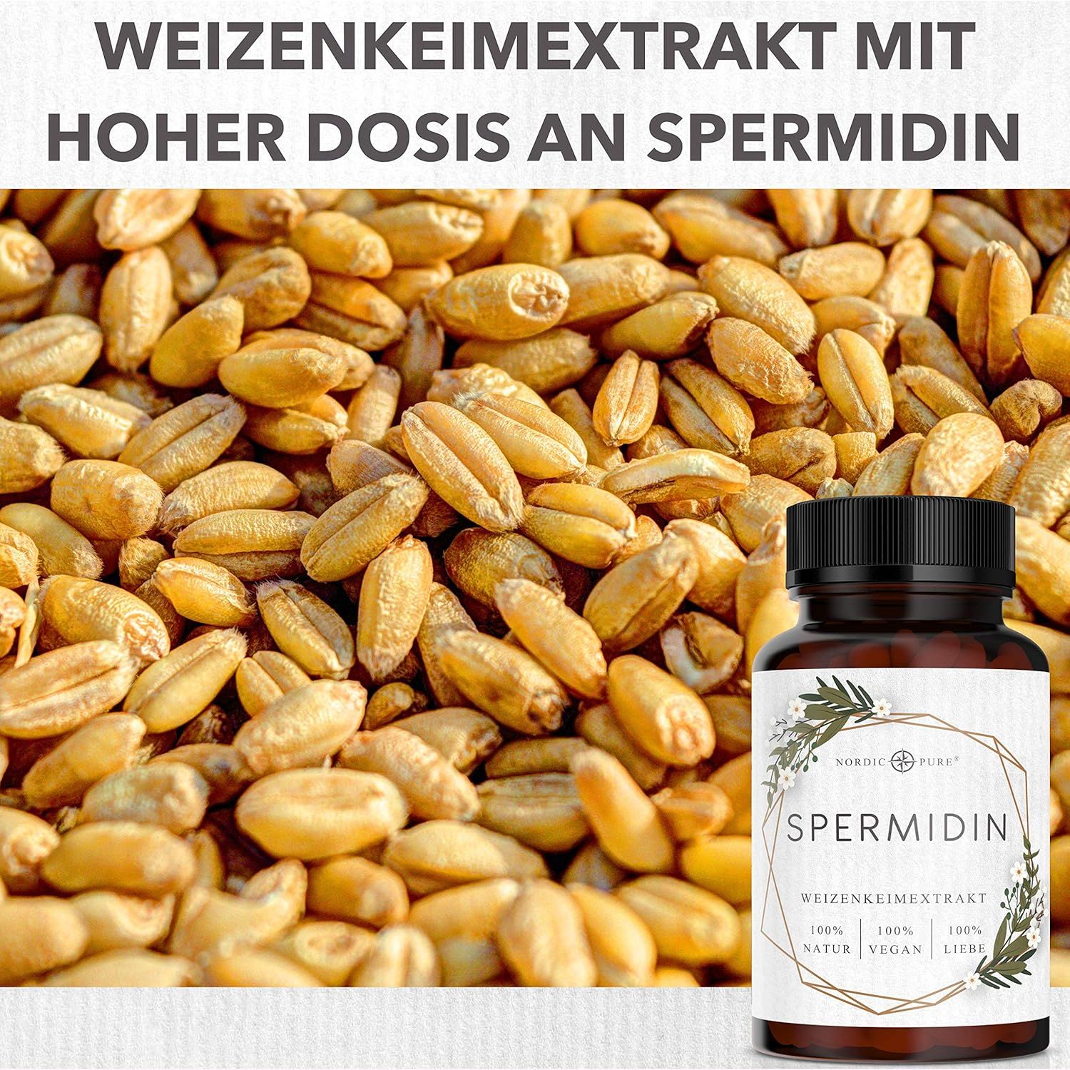 Nordic Pure Spermidin Kapseln