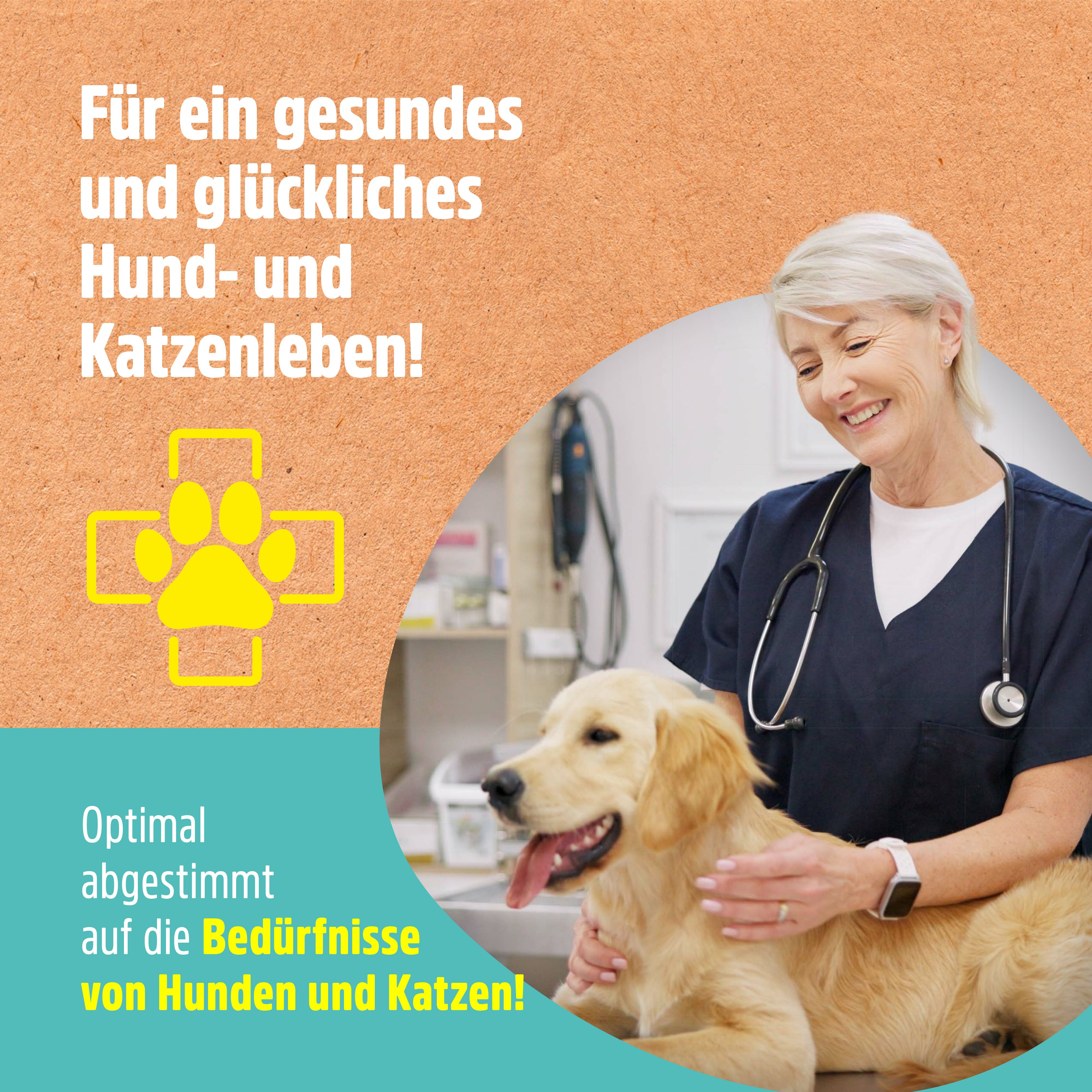 Tierarzt mit Hund. Text: Für ein gesundes und glückliches Hund- und Katzenleben!