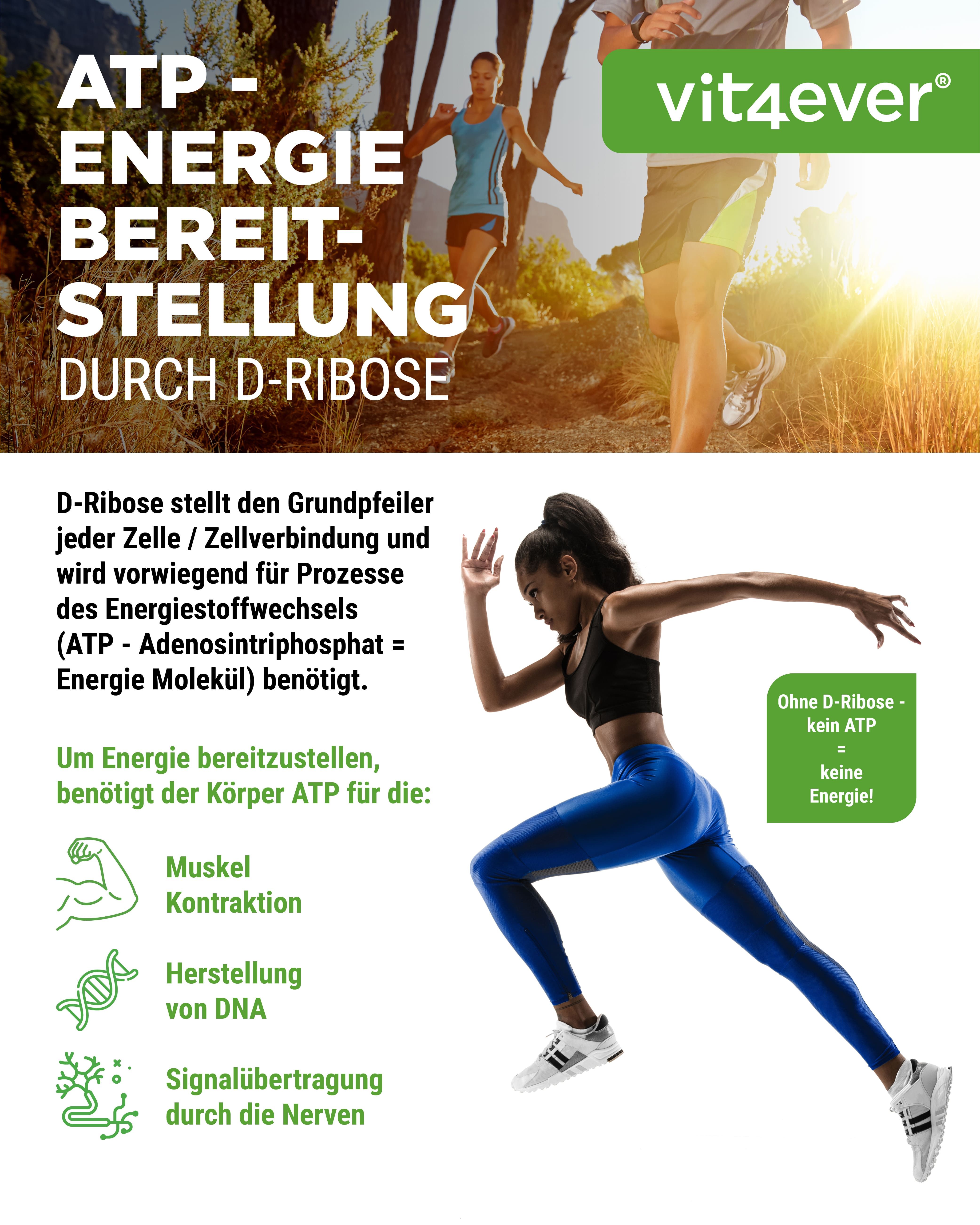 Läuferin. Text: ATP - Energiebereitstellung durch D-Ribose. Logo: vit4ever. Text: Ohne D-Ribose - keine Energie!