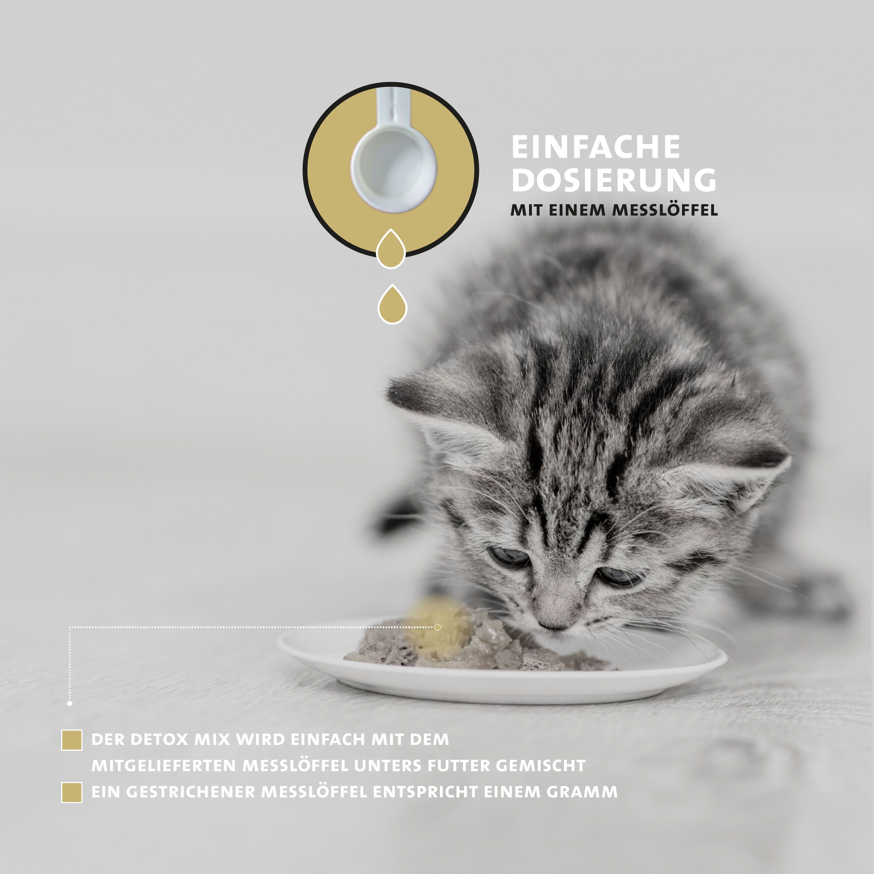 Kätzchen isst Futter von Teller. Messlöffel. Text: Einfache Dosierung. Der Detox-Mix wird mit Futter gemischt.