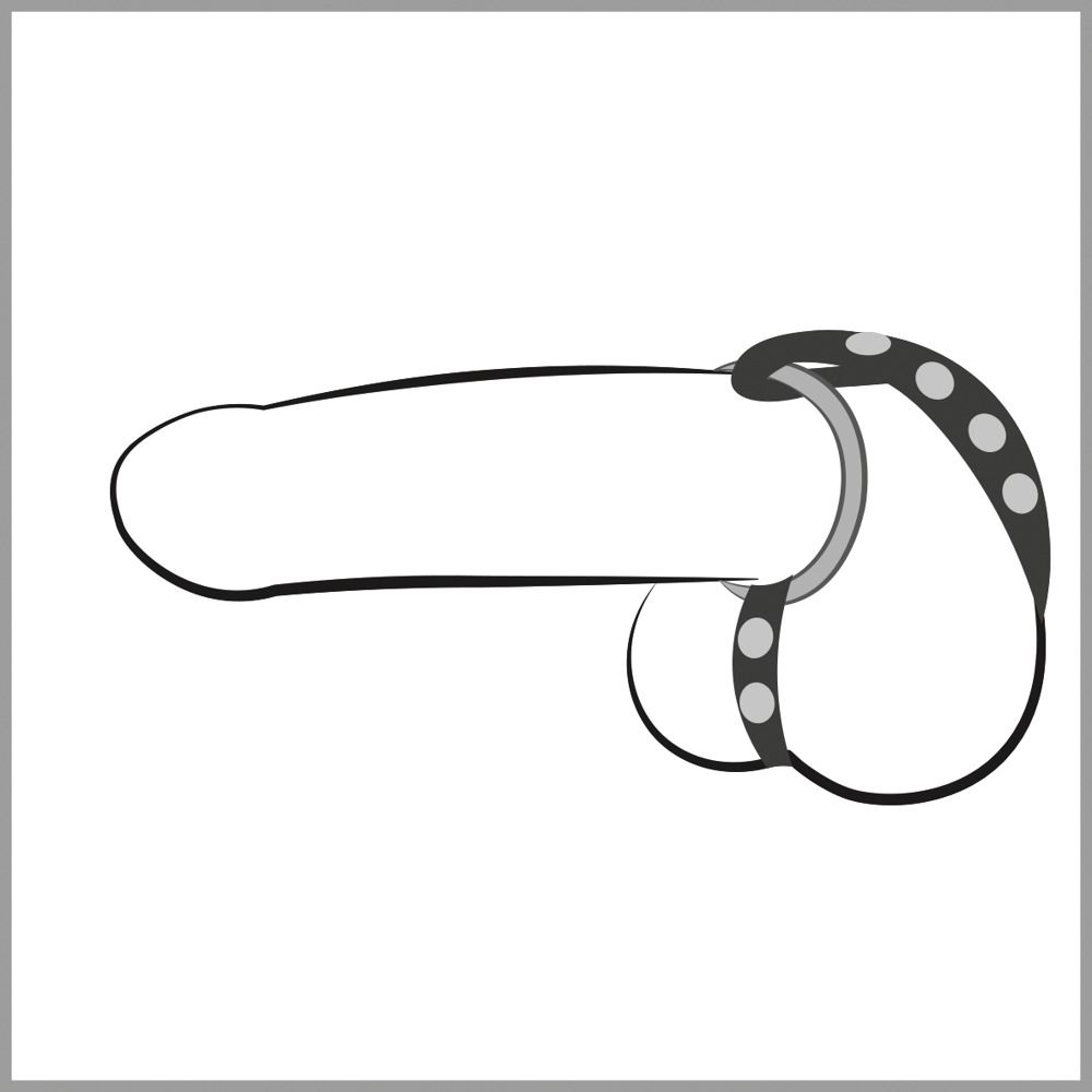 Schwarz-weiße Illustration eines Penis mit einem Lederriemen und einem Metallring.