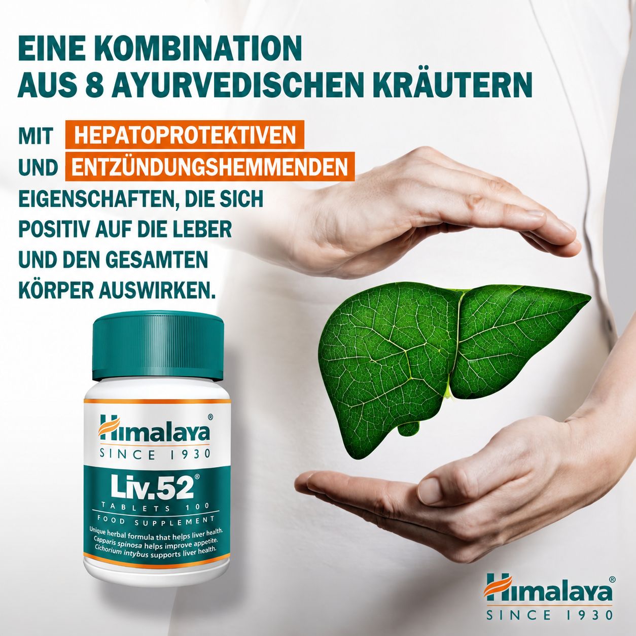 Himalaya Liv.52 Tabletten Flasche neben einer stilisierten Leber, die von Händen gehalten wird.