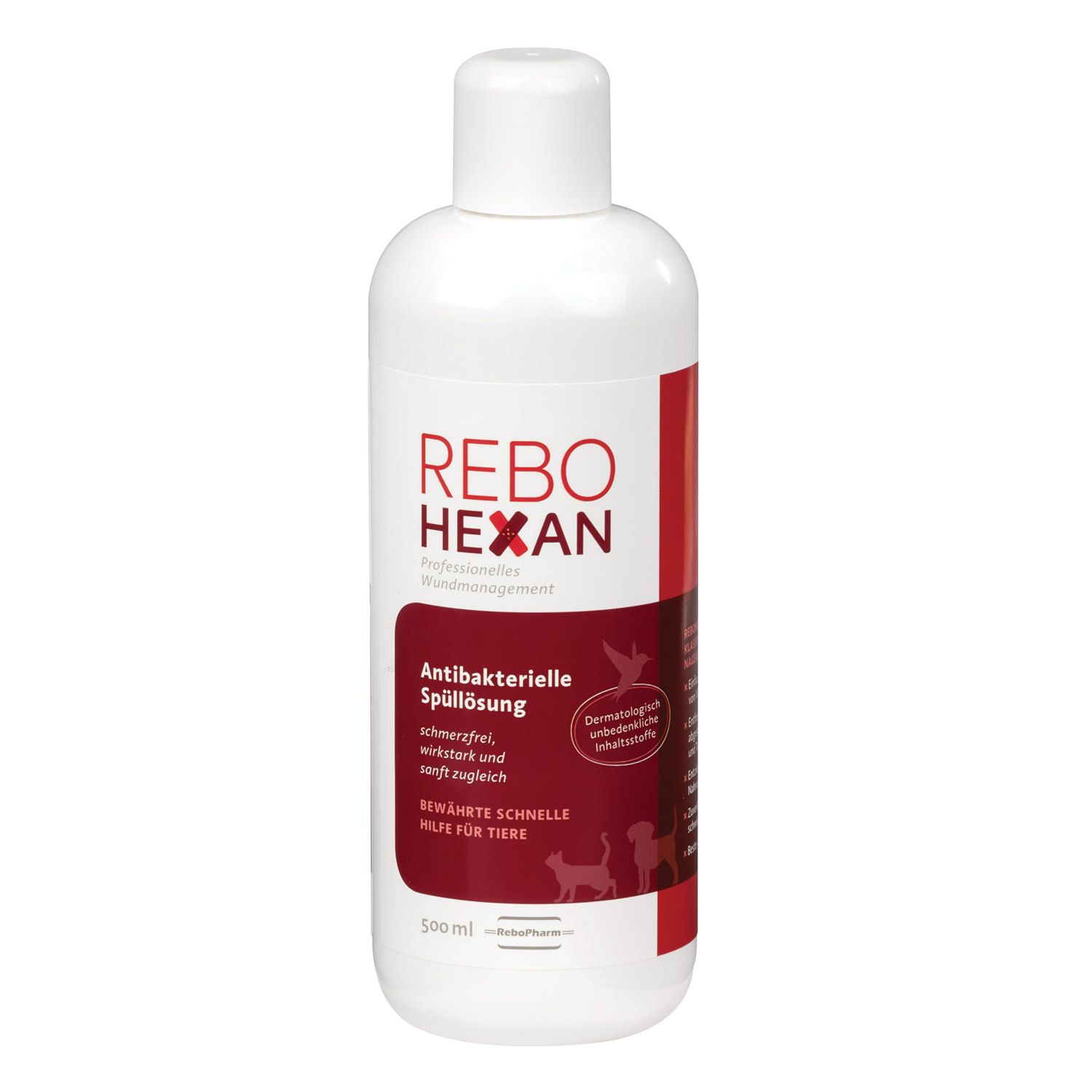 REBOHEXAN Spüllösung
