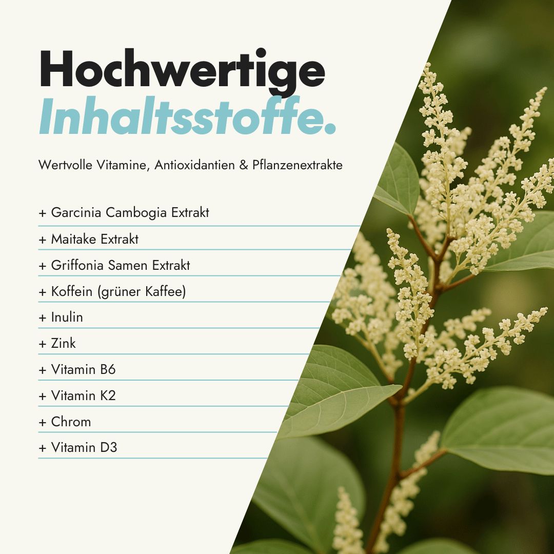 Pflanze mit weißen Blüten. Text: Hochwertige Inhaltsstoffe. Wertvolle Vitamine, Antioxidantien & Pflanzenextrakte.