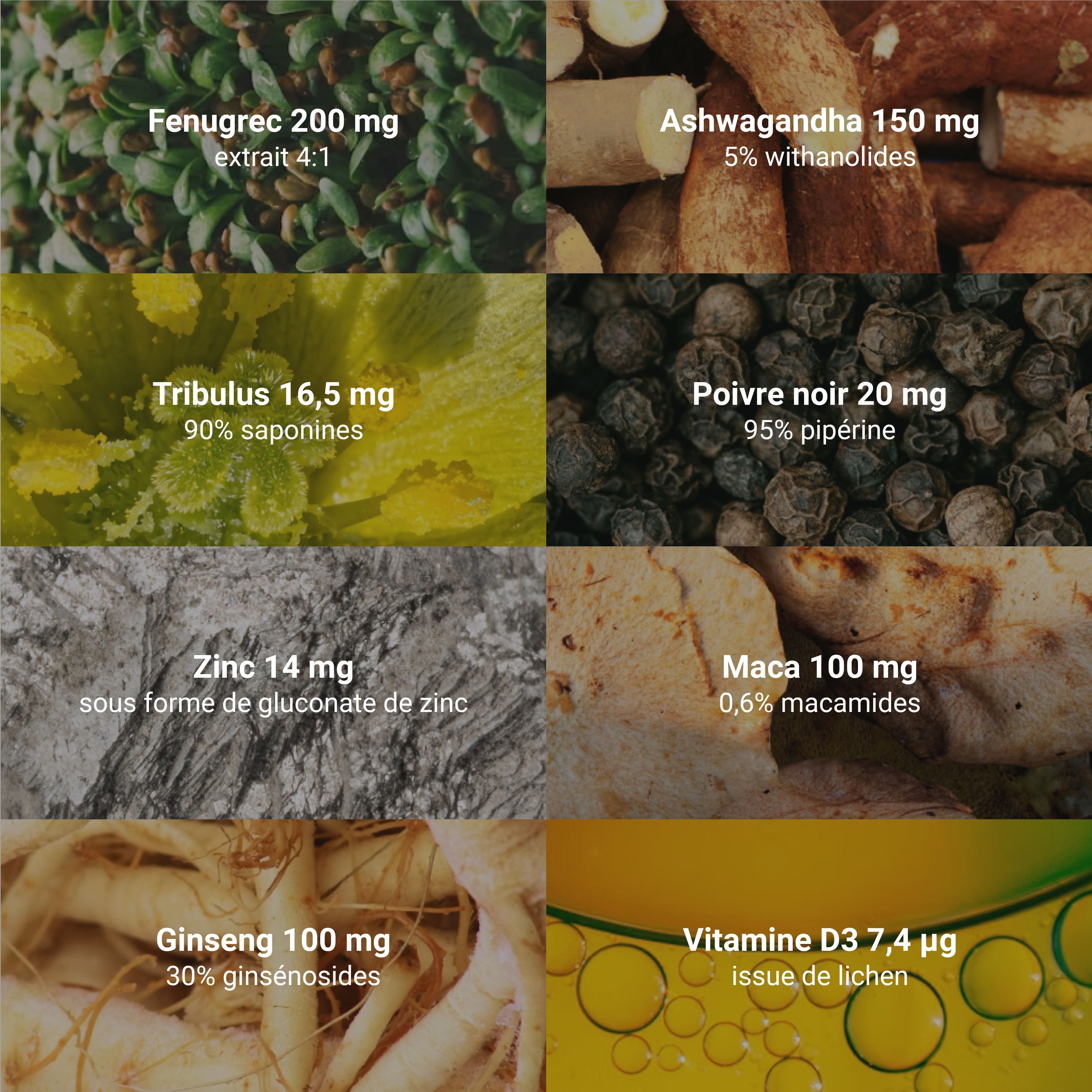 Collage von Inhaltsstoffen: Bockshornklee, Ashwagandha, Tribulus, schwarzer Pfeffer, Zink, Maca, Ginseng, Vitamin D3.