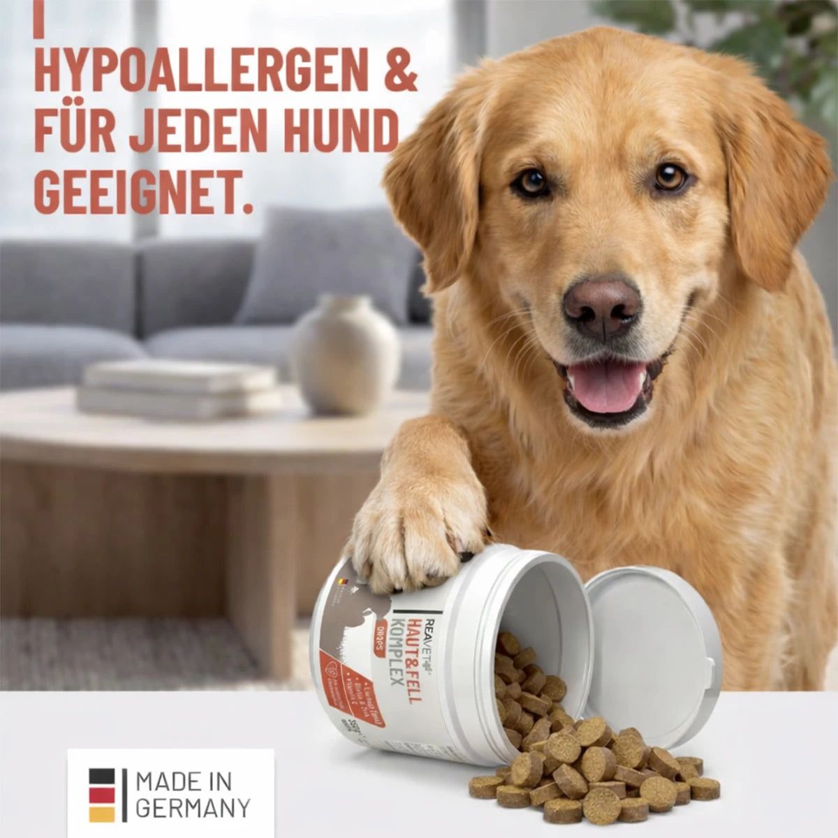 Hund neben Dose mit Tabletten. Text: Hypoallergen & für jeden Hund geeignet. Dose mit Aufschrift: REAVET Haut & Fell Komplex. Made in Germany.