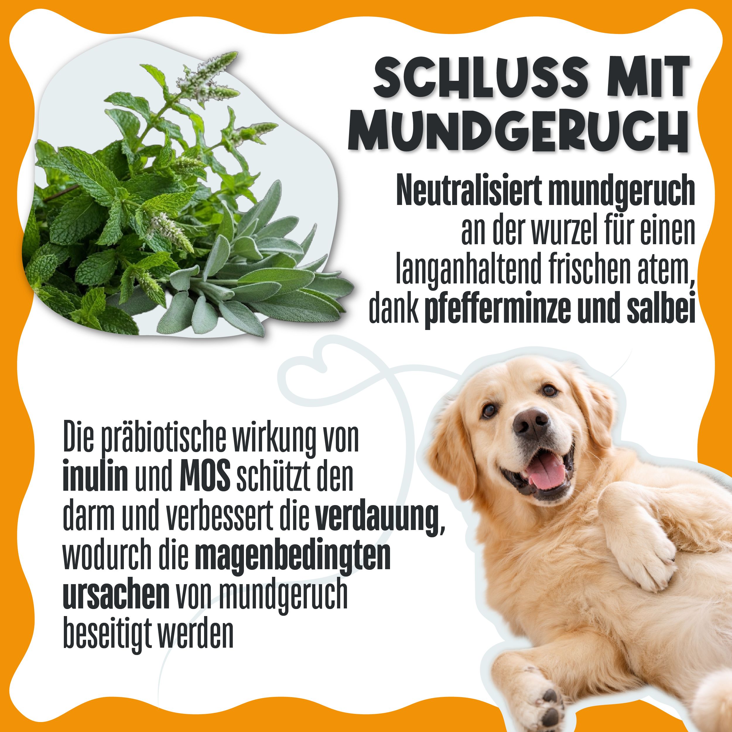 LAGA PHARMA Dental Bright Zahnpflege Hund & Katze Zahnsteinentferner Pulver mit Minze, Salbei, Inuli