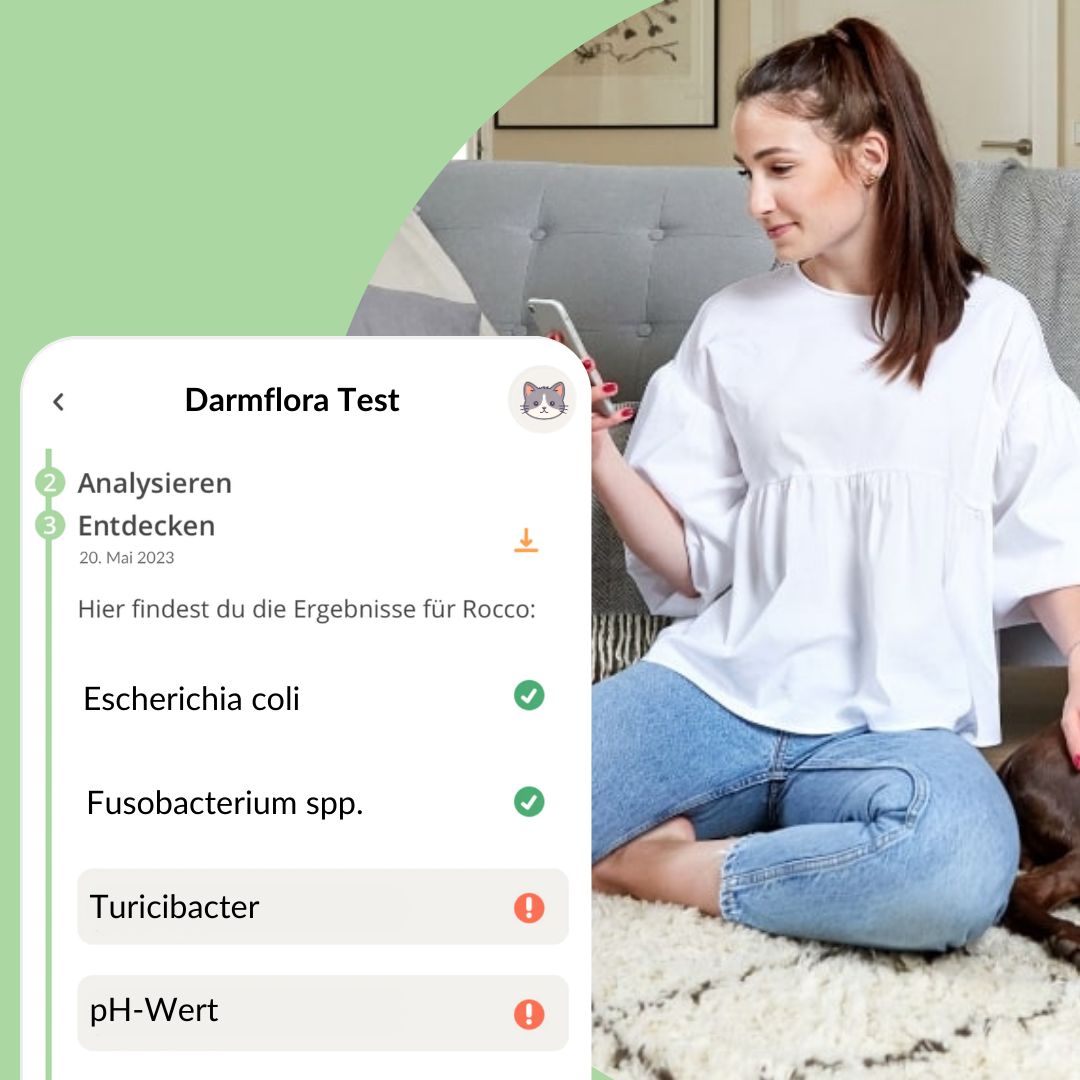 App-Ansicht zeigt Darmflora-Testergebnisse für eine Katze namens Rocco, mit Bakteriennamen und Status.