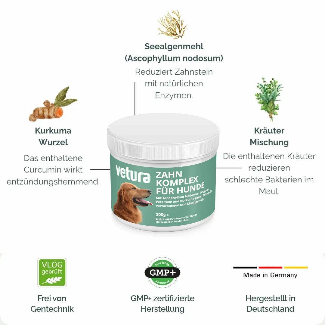 Produktabbildung mit Zutaten und Logos. Text: Vetura Zahnpflege-Komplex. GMP+ zertifizierte Herstellung. Made in Germany.